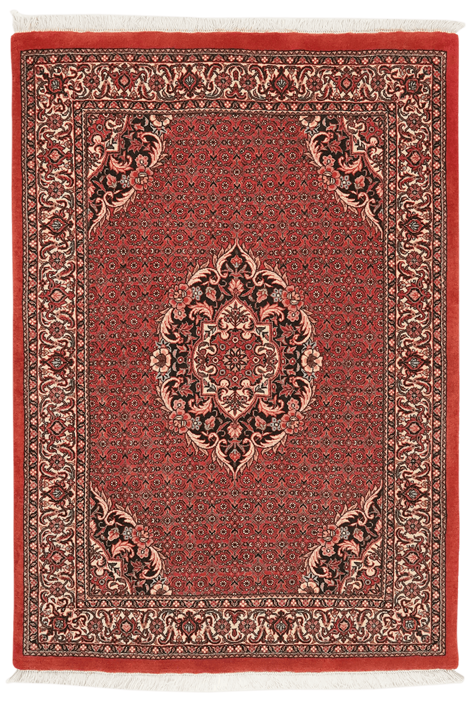 Bidjar Bookan — Hand-knotted, 105x153 cm, Red, 100% Virgin Wool | Main view