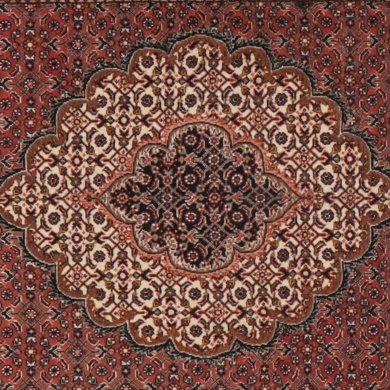 Bidjar Bookan — Hand-knotted, 89x308 cm, Red, 100% Virgin Wool | View 4