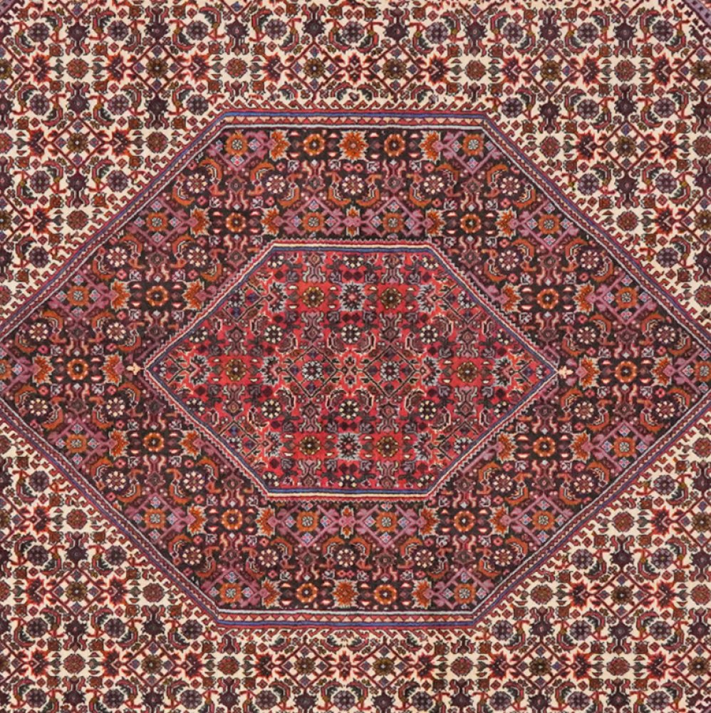 Bidjar Bookan — Hand-knotted, 146x235 cm, Beige, 100% Virgin Wool | View 4