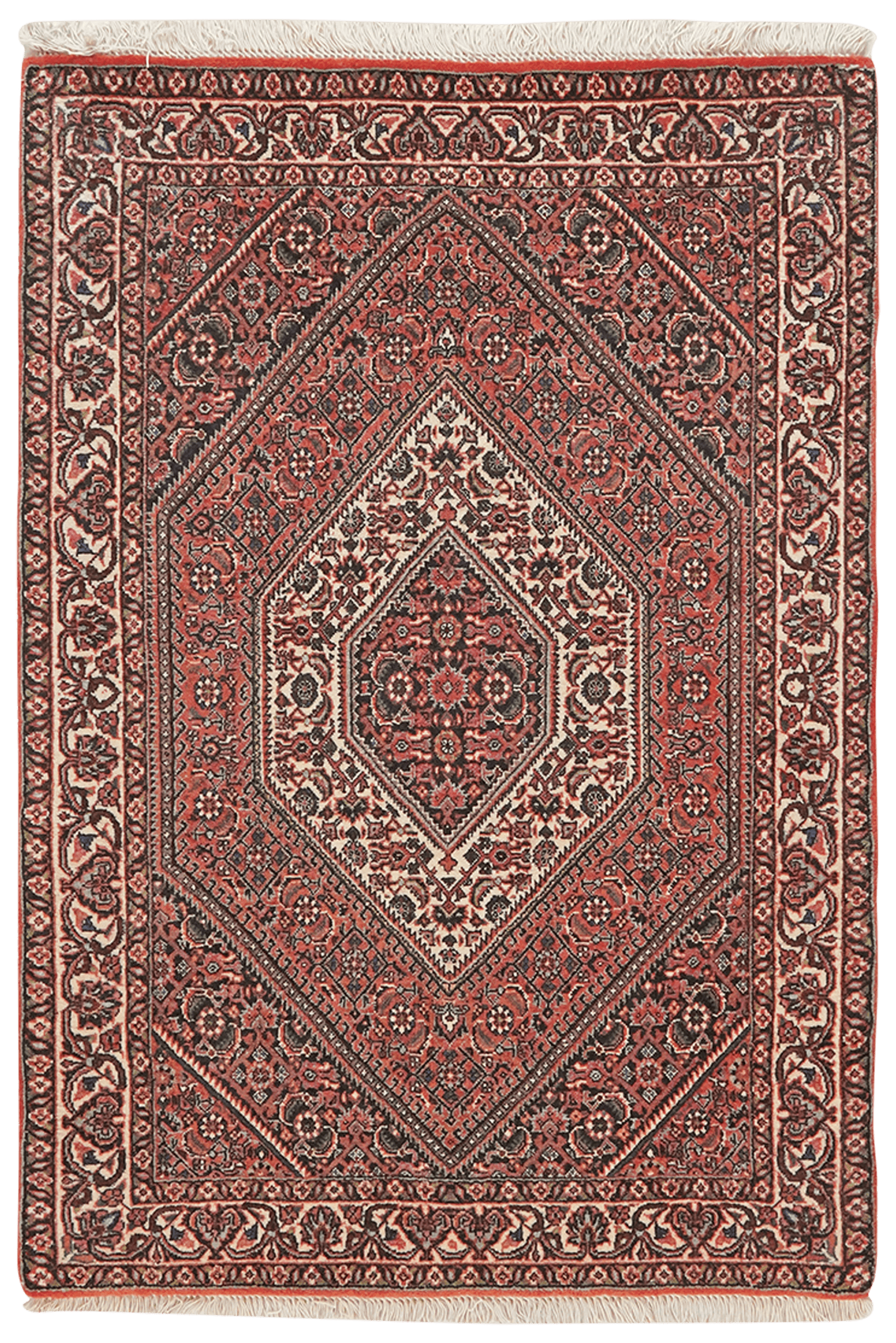 Bidjar Bookan — Hand-knotted, 75x111 cm, Red, 100% Virgin Wool | Main view