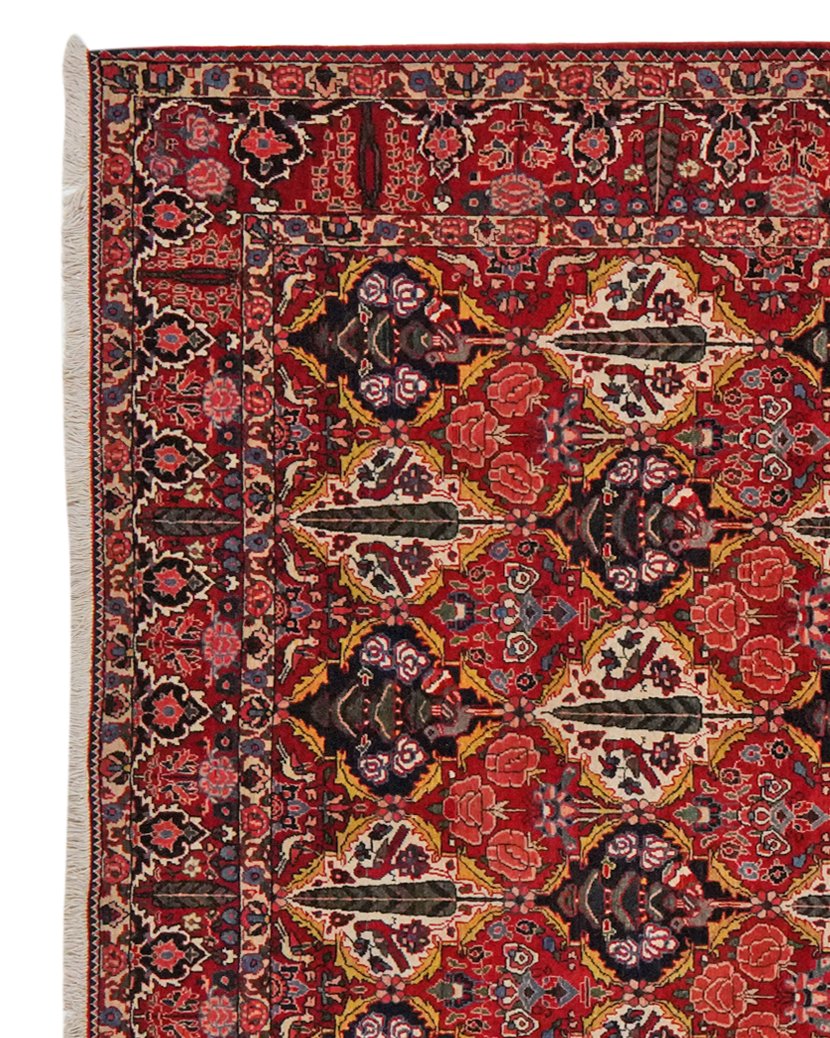 Bakhtiar — Hand-knotted, 212x341 cm, Multicolor, 100% Virgin Wool | View 3