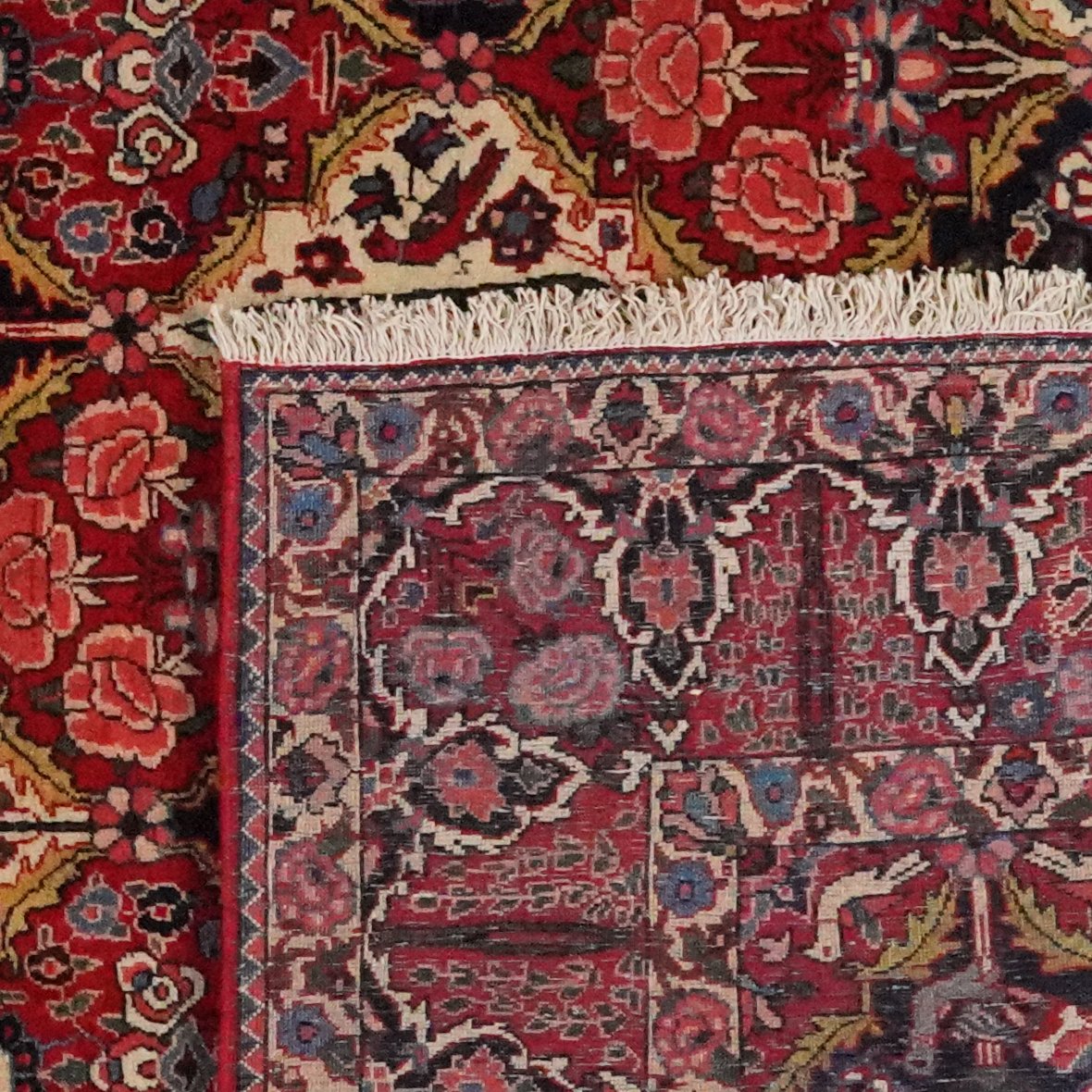 Bakhtiar — Hand-knotted, 212x341 cm, Multicolor, 100% Virgin Wool | View 6