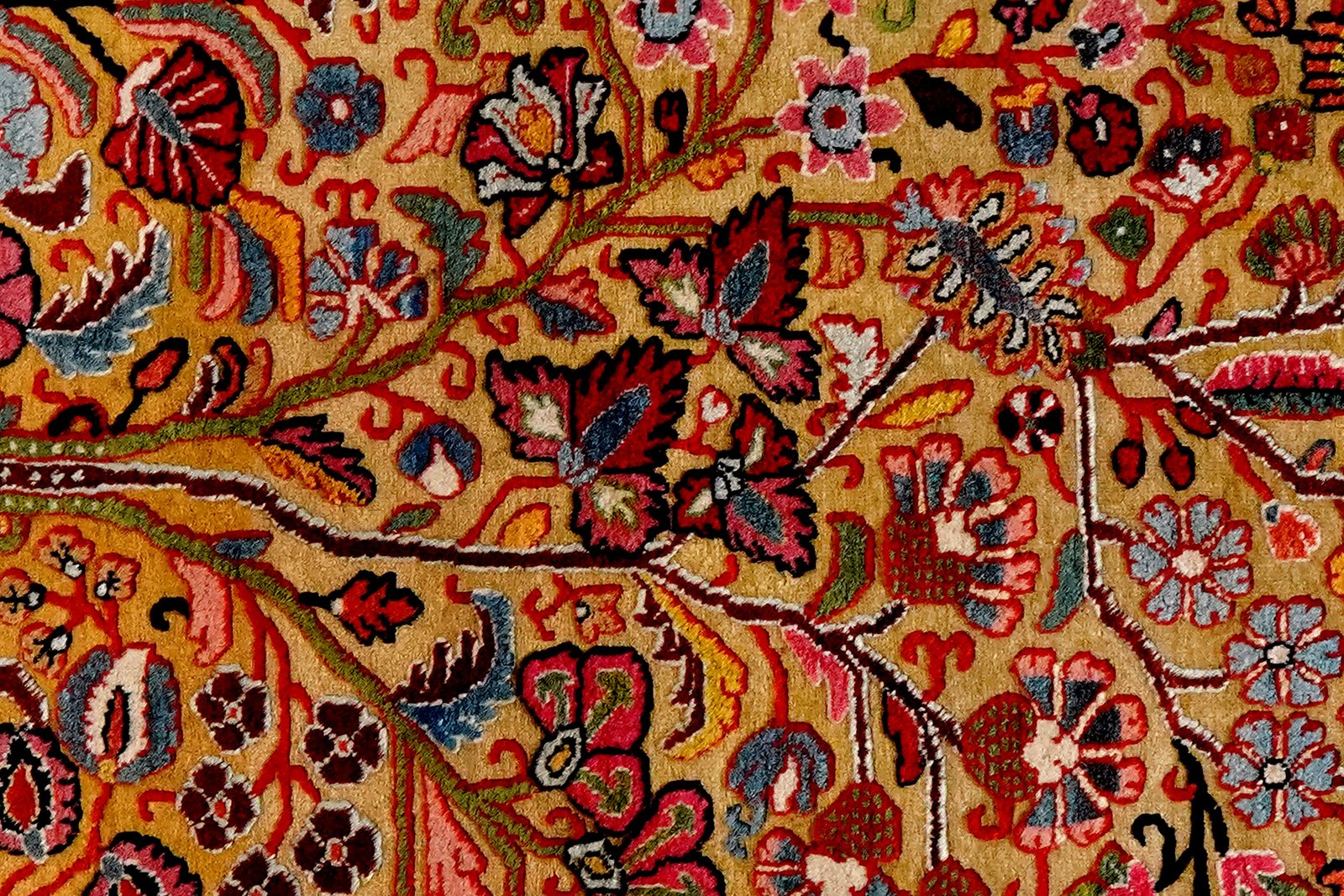 Djozan — Hand-knotted, 104x152 cm, Beige, 100% Virgin Wool | View 4