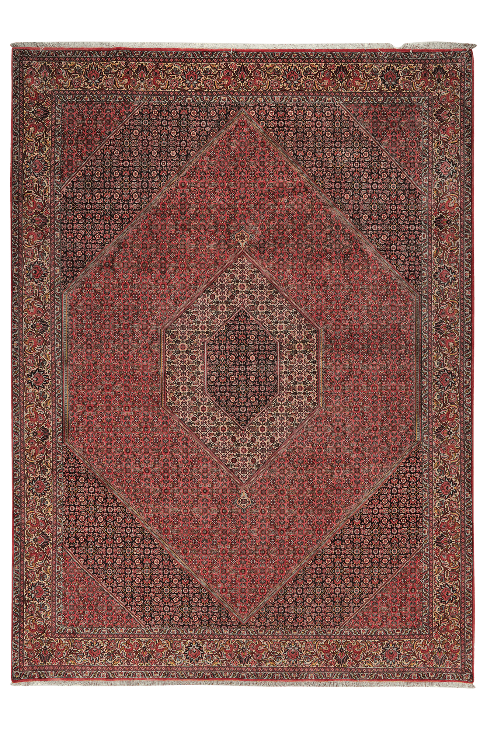Bidjar — Hand-knotted, 258x362 cm, Red, 100% Virgin Wool | Main view