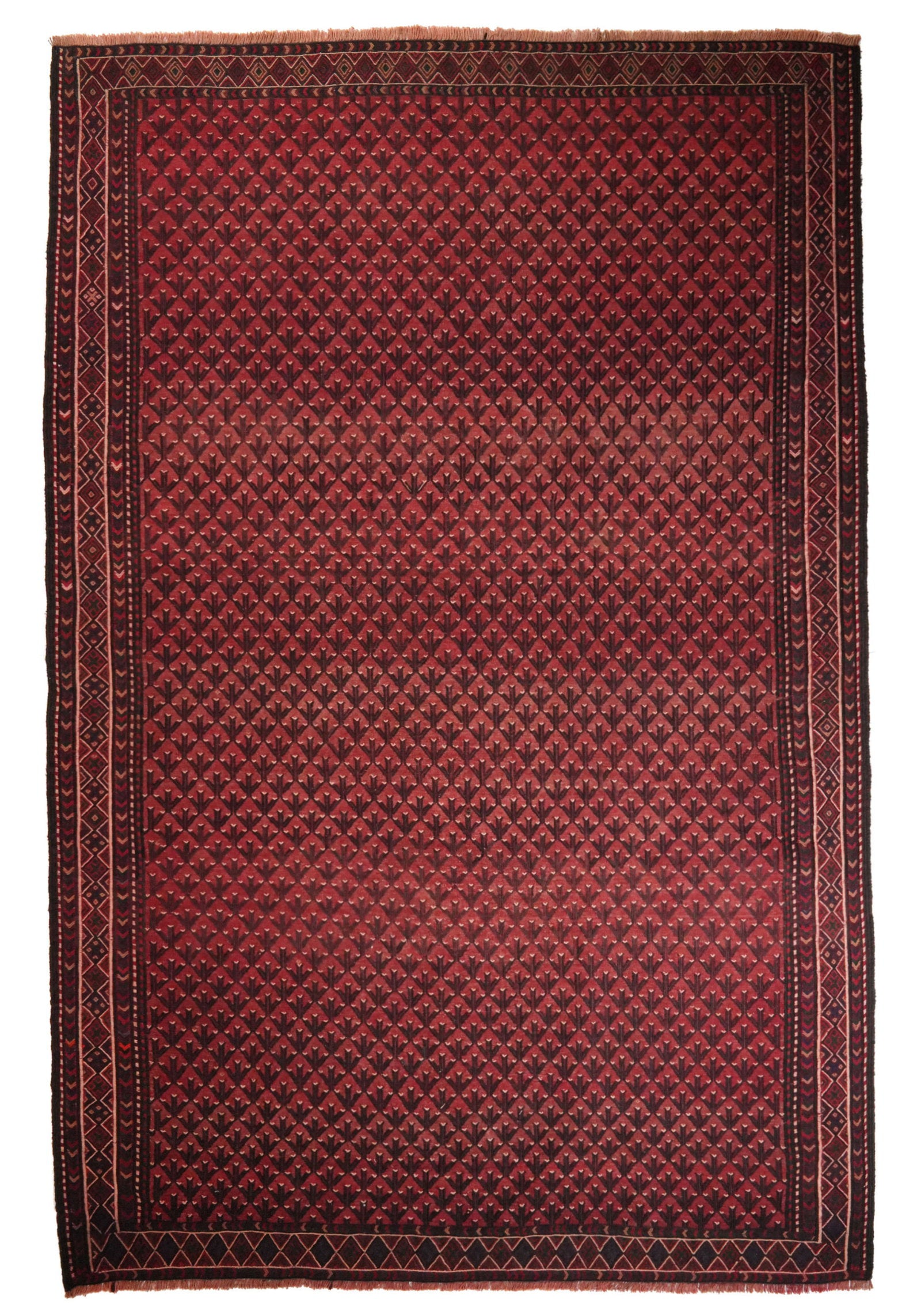 Kelim Kordi Old — Handgefertigt, 302x202 cm, Bunt, 100% Virgin Wool | Main view