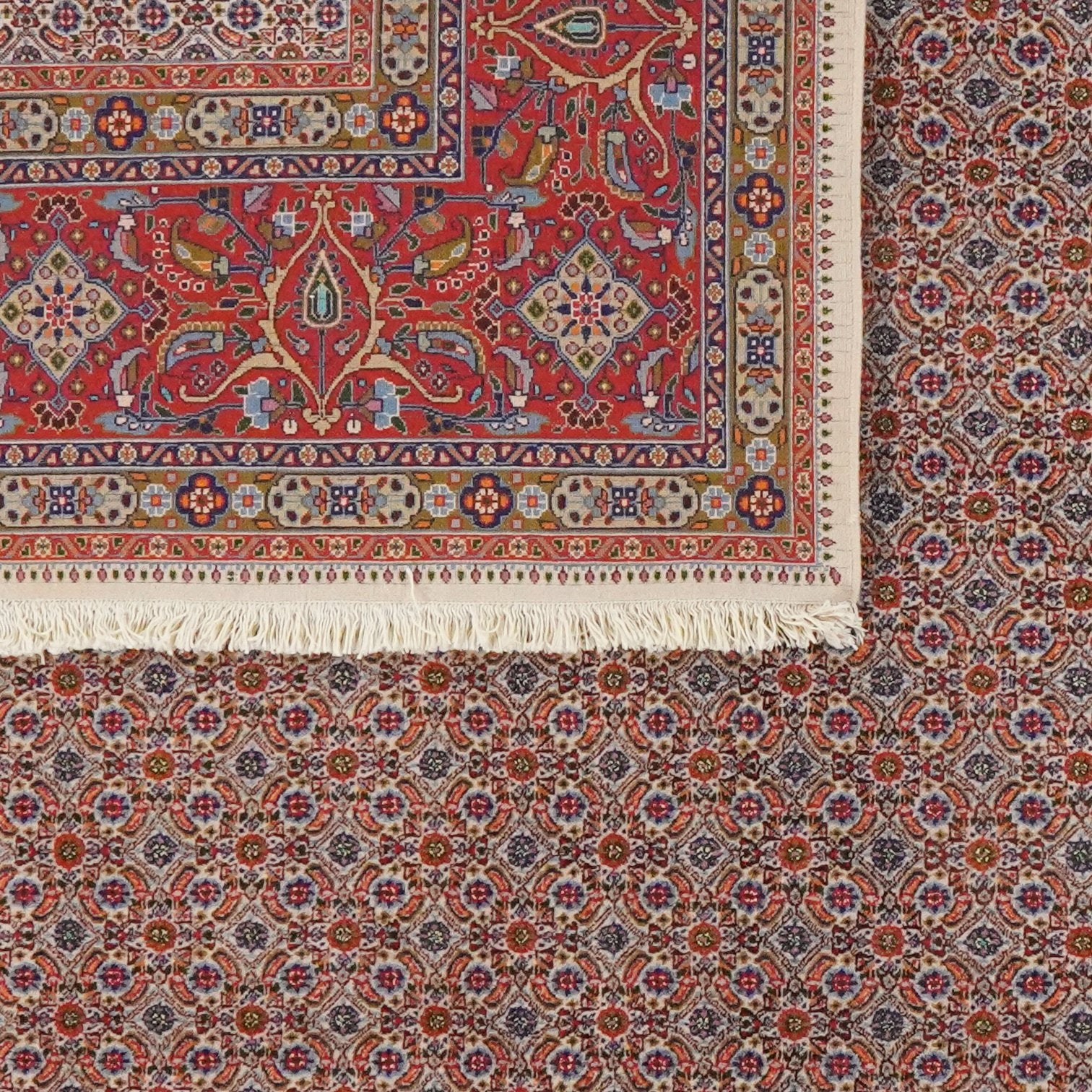 Moud Mahi — Hand-knotted, 247x284 cm, Beige, 100% Virgin Wool | View 6