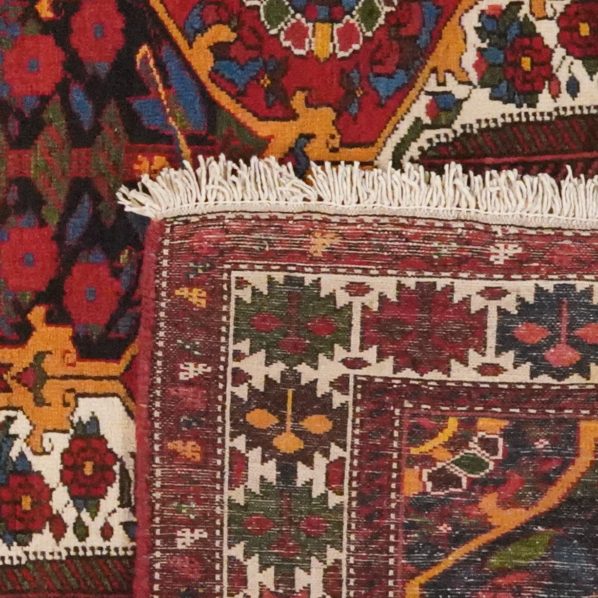 Bakhtiar — Hand-knotted, 145x229 cm, Multicolor, 100% Virgin Wool | View 6