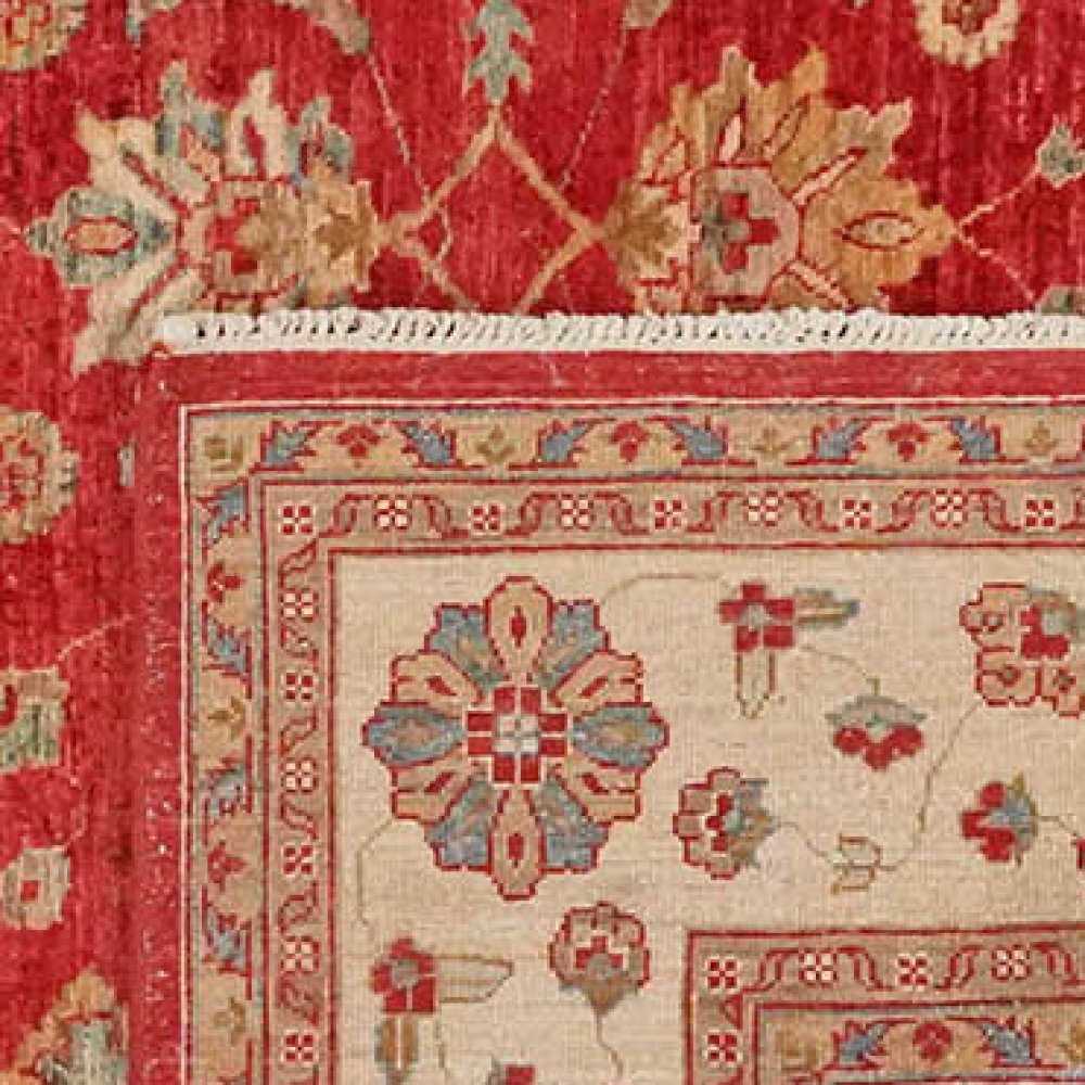 Ziegler — Hand-knotted, 196x269 cm, Red, 100% Virgin Wool | View 6