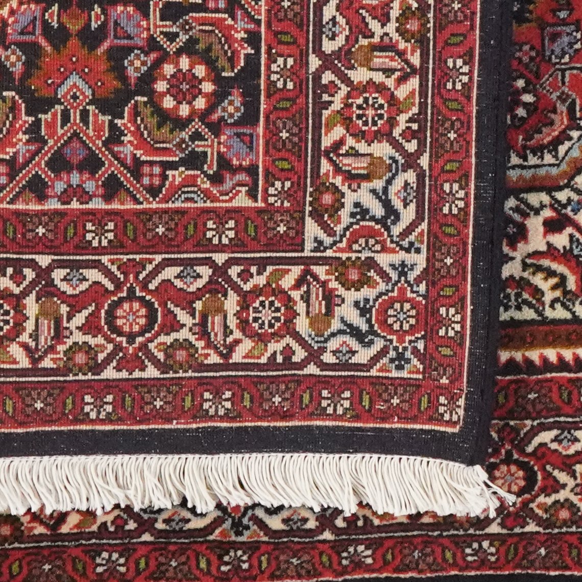 Bidjar Zandjan — Hand-knotted, 85x148 cm, Beige, 100% Virgin Wool | View 6