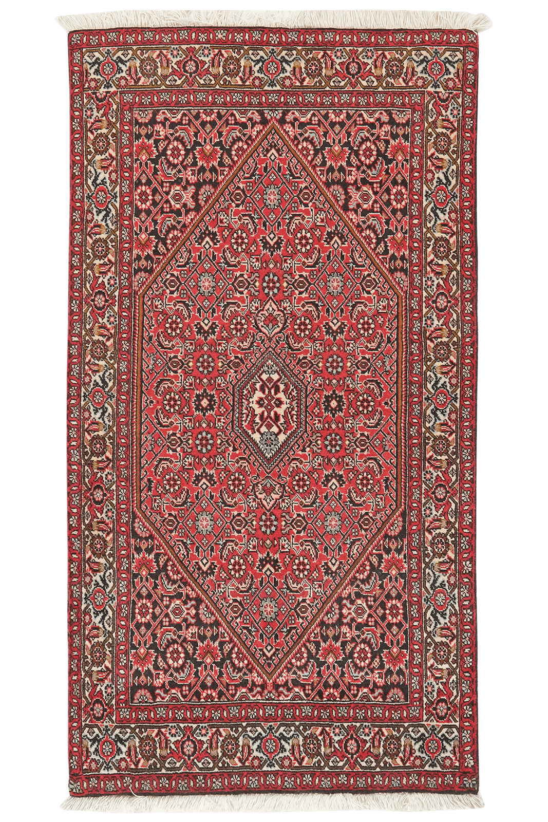 Bidjar Zandjan — Hand-knotted, 83x157 cm, Red, 100% Virgin Wool | Main view