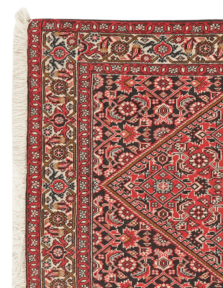 Bidjar Zandjan — Hand-knotted, 83x157 cm, Red, 100% Virgin Wool | View 3