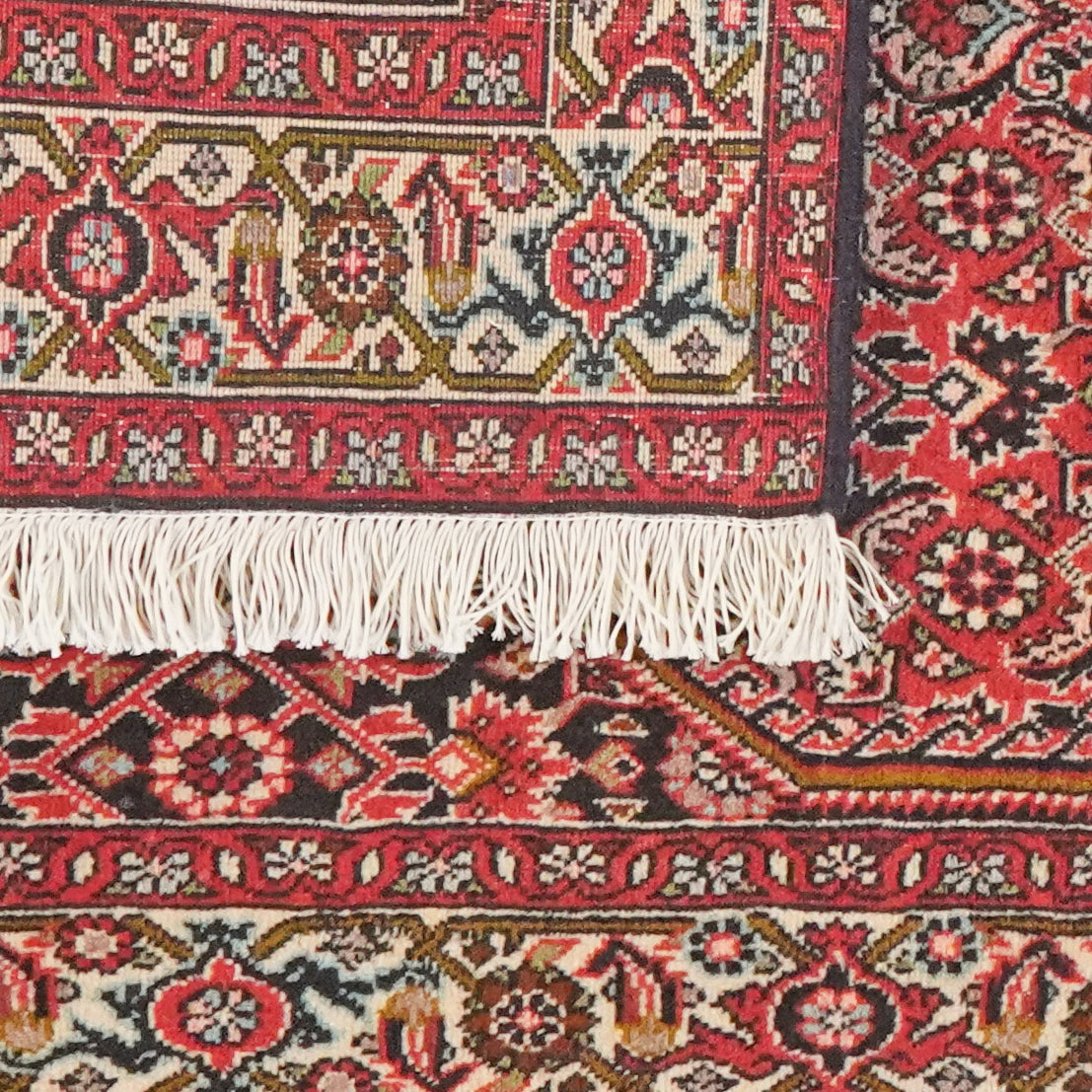 Bidjar Zandjan — Hand-knotted, 83x157 cm, Red, 100% Virgin Wool | View 6