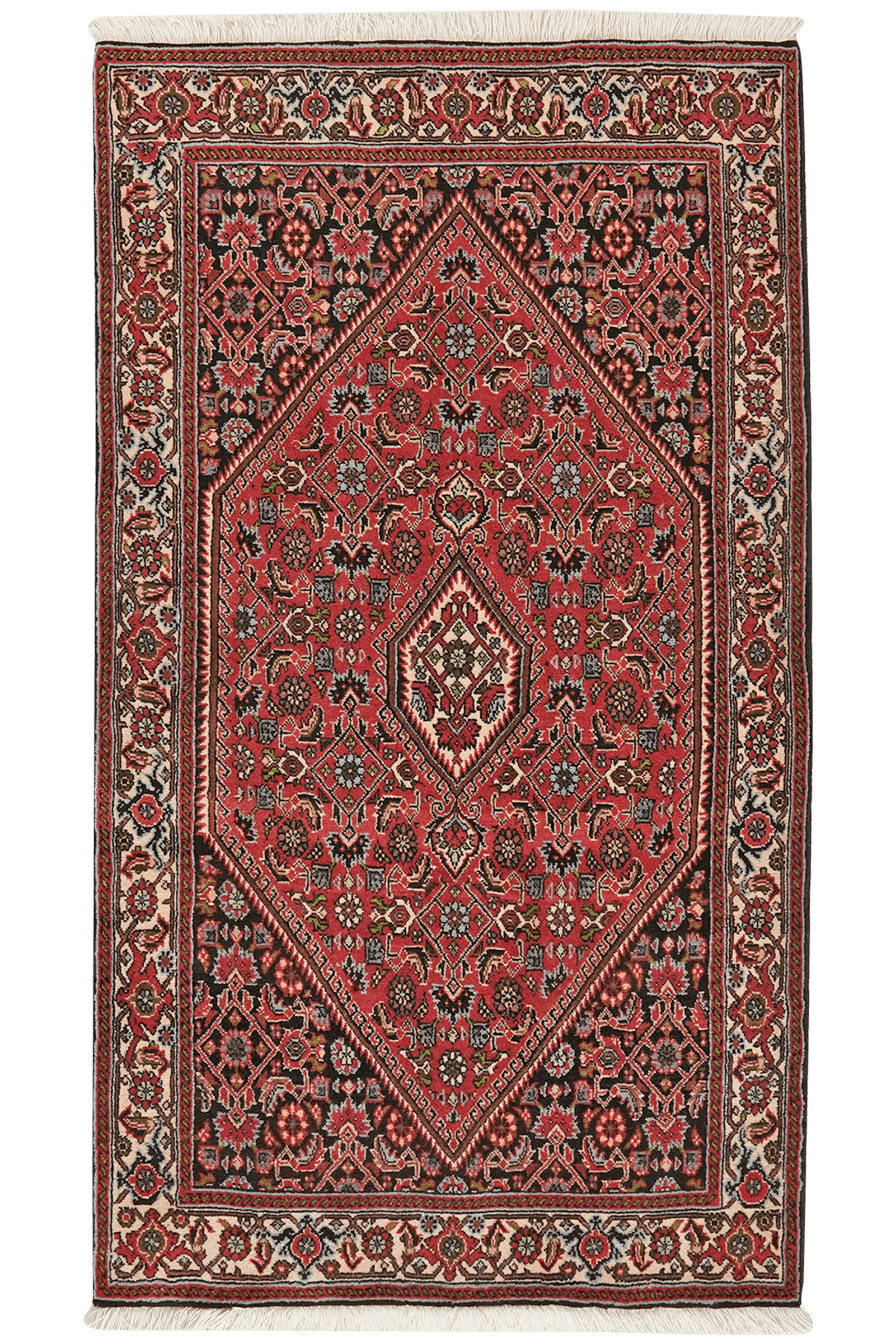 Bidjar Zandjan — Hand-knotted, 86x152 cm, Red, 100% Virgin Wool | Main view