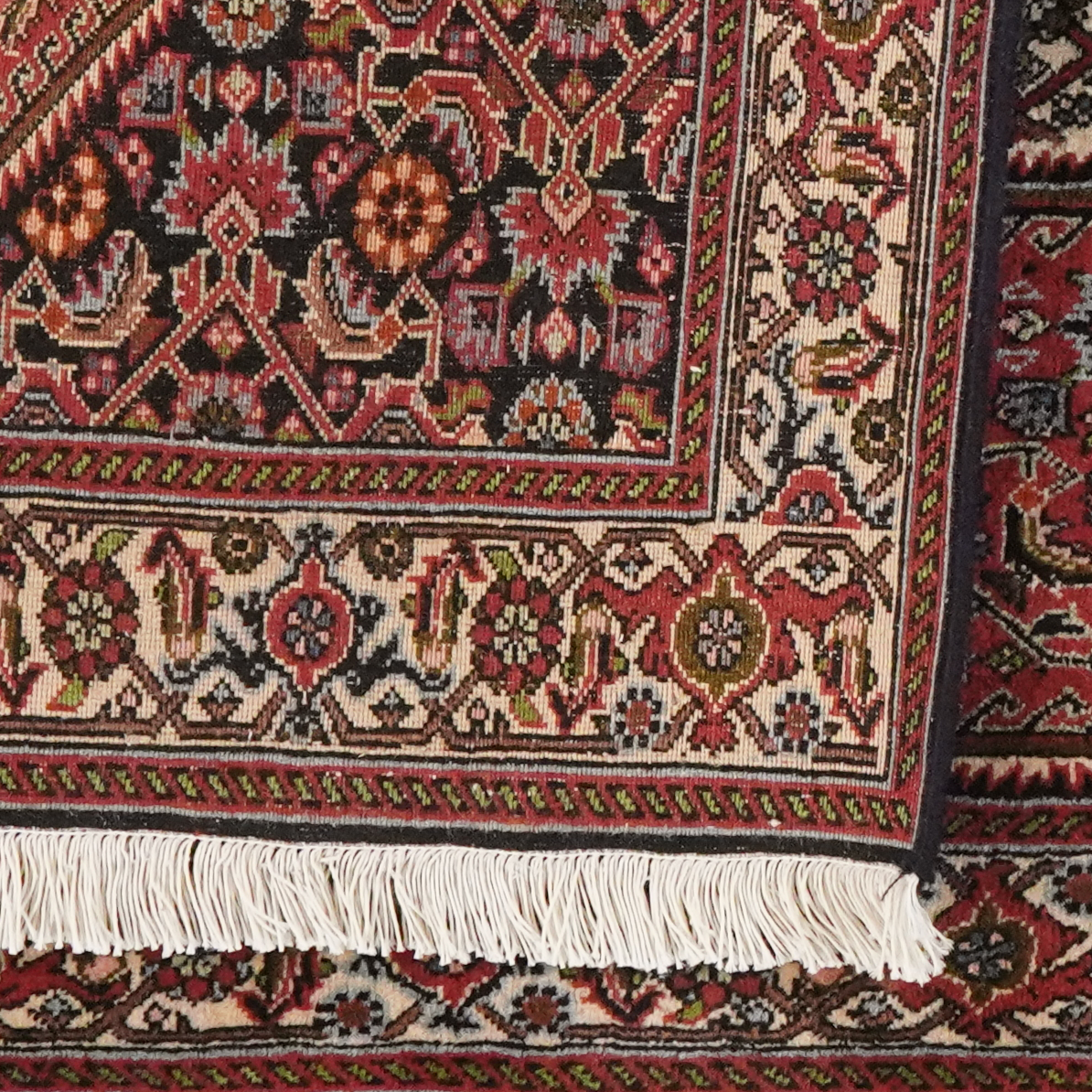 Bidjar Zandjan — Handgefertigt, 152x86 cm, Beige, 100% Virgin Wool | View 7