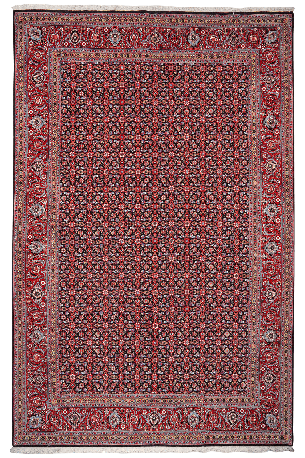 Tabriz 50 Raj — Hand-knotted, 202x305 cm, Blue, 100% Virgin Wool | Main view