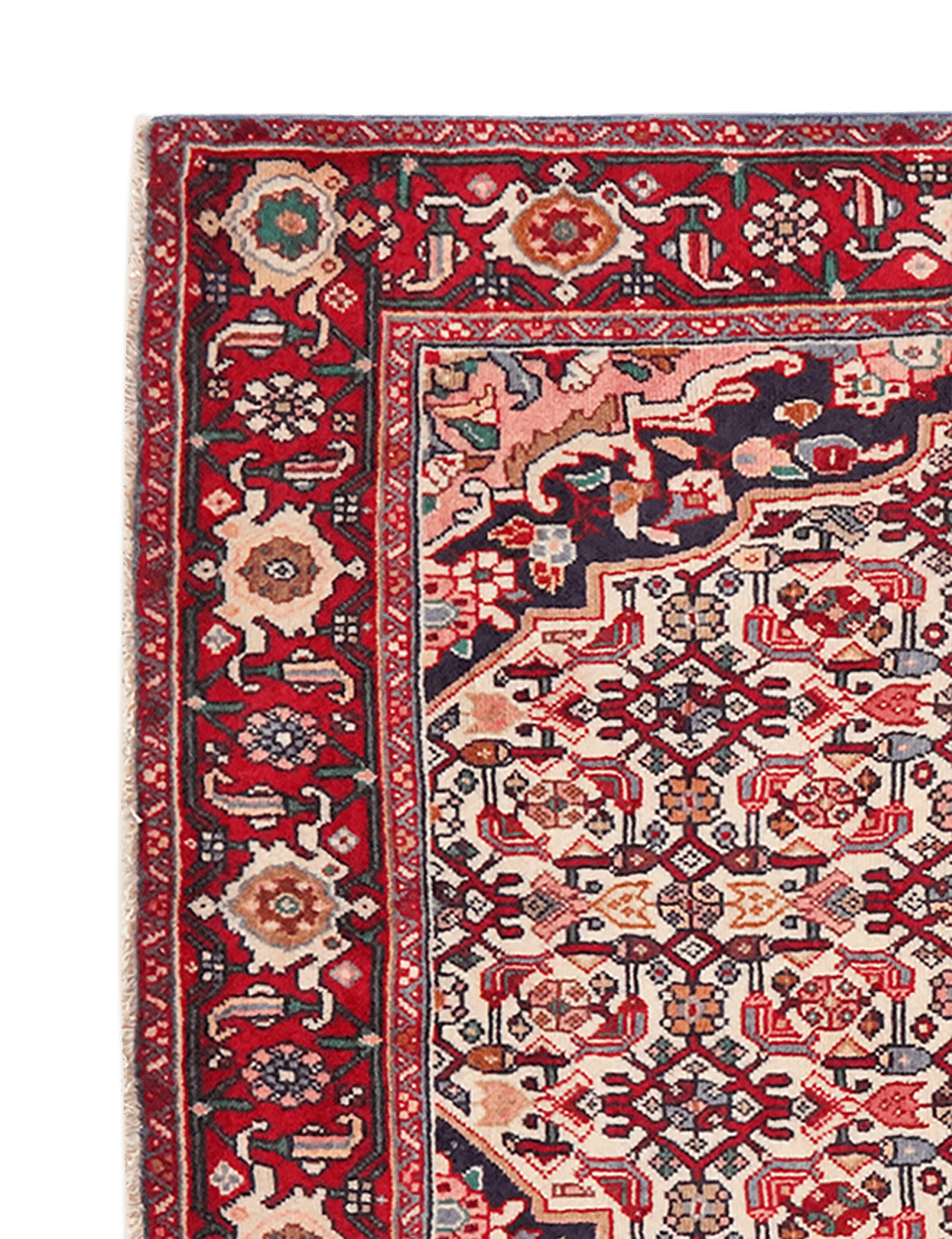 Bidjar — Hand-knotted, 100x161 cm, Beige, 100% Virgin Wool | View 3