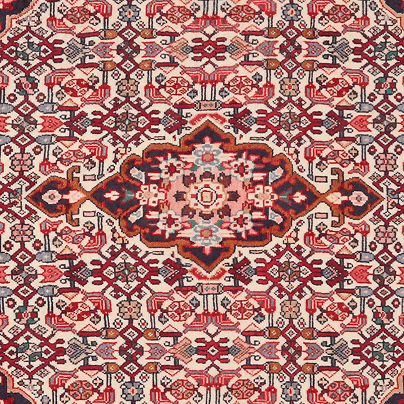 Bidjar — Hand-knotted, 100x161 cm, Beige, 100% Virgin Wool | View 4