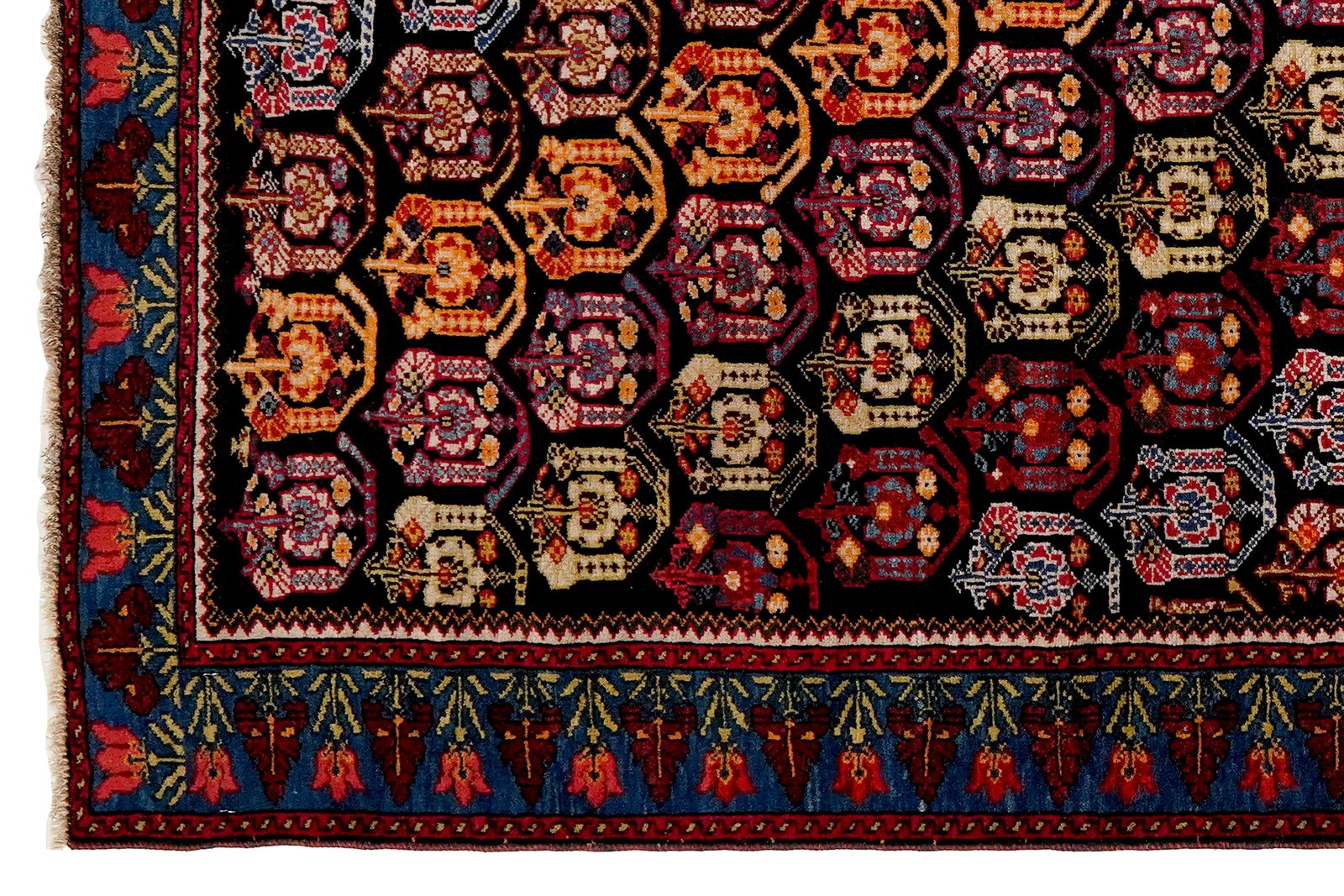 Henegoun — Hand-knotted, 98x157 cm, Black, 100% Virgin Wool | View 3