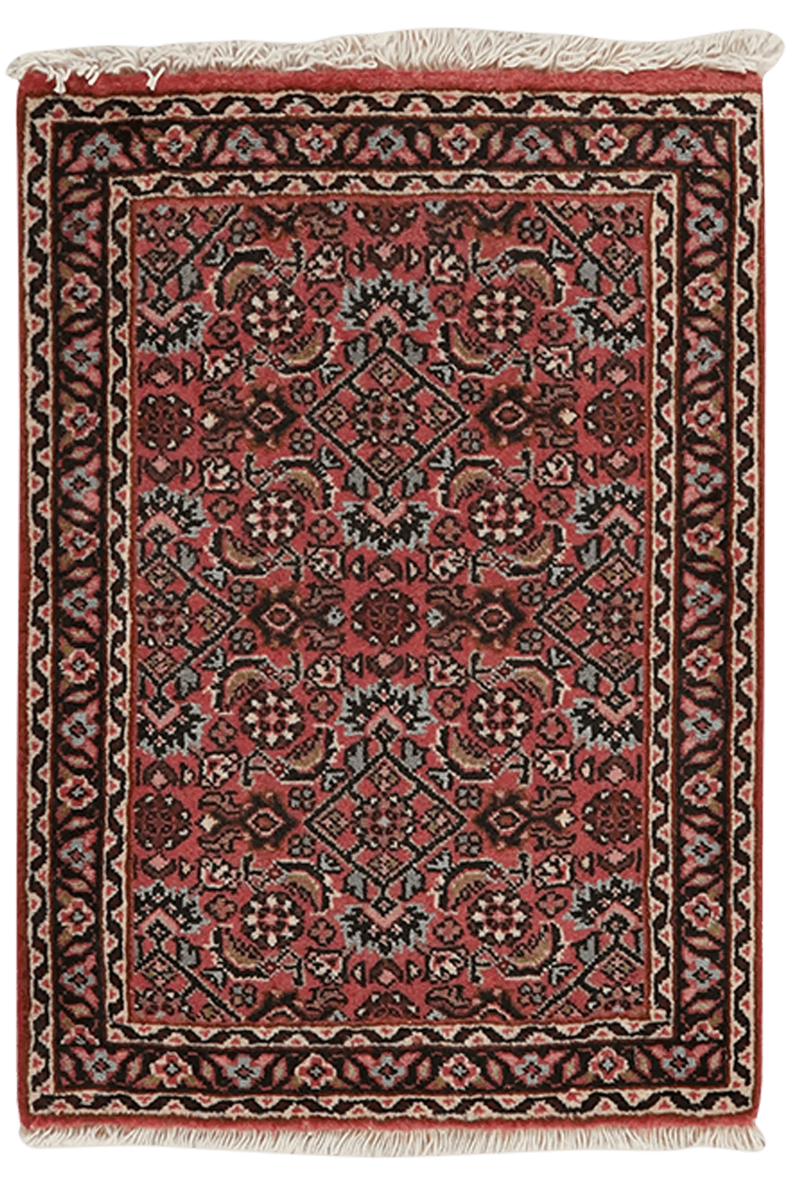 Bidjar Zandjan — Hand-knotted, 44x61 cm, Red, 100% Virgin Wool | Main view