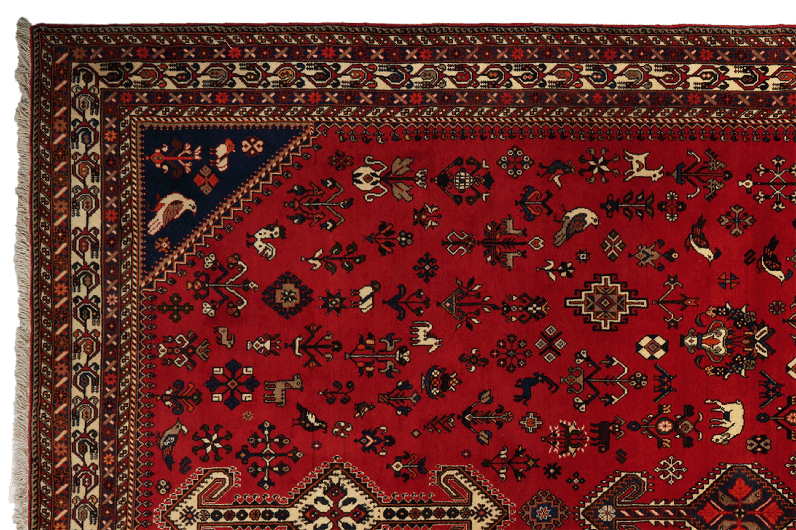 Nasrabad — Hand-knotted, 203x295 cm, Red, 100% Virgin Wool | View 3