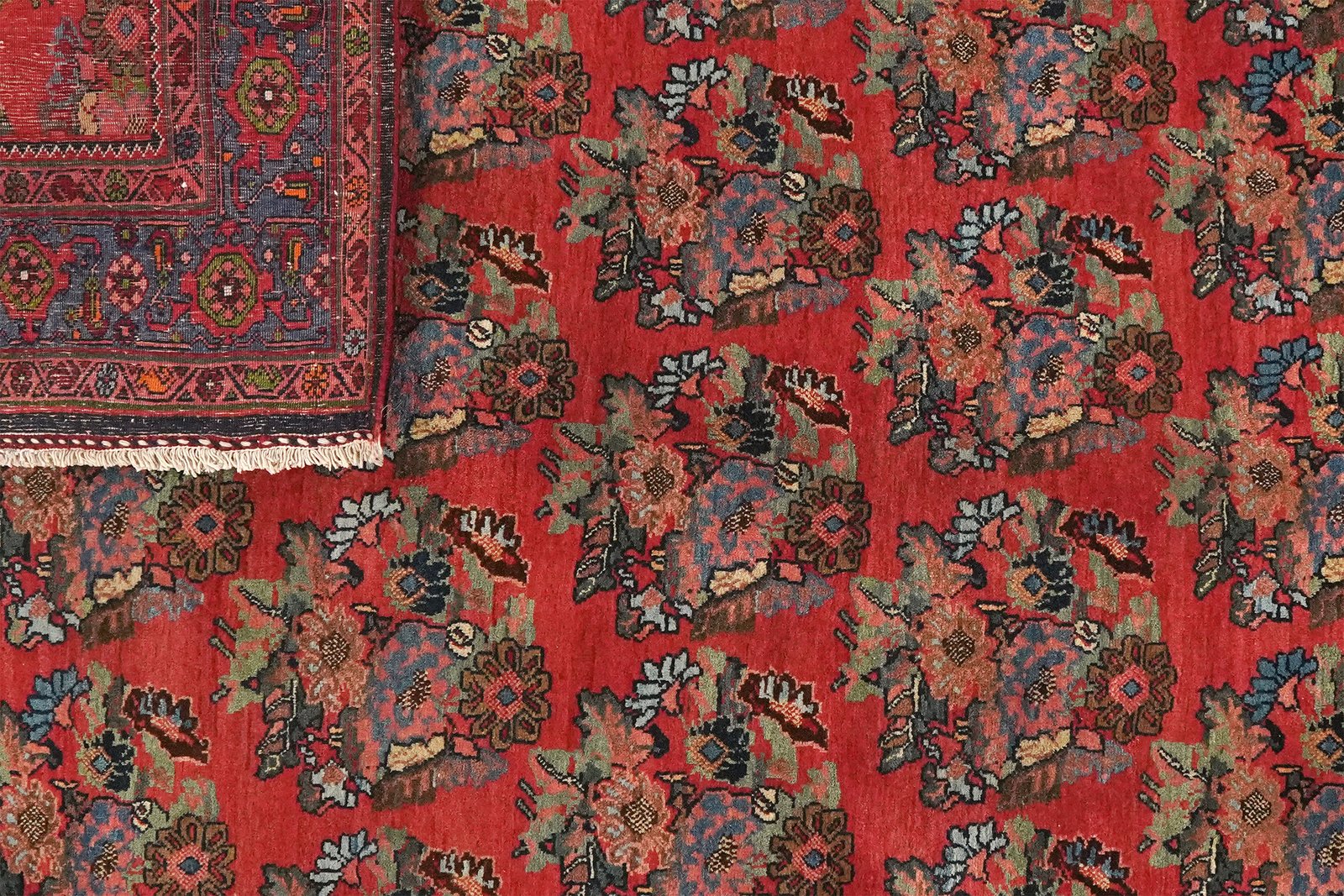 Bidjar — Hand-knotted, 142x217 cm, Red, 100% Virgin Wool | View 5