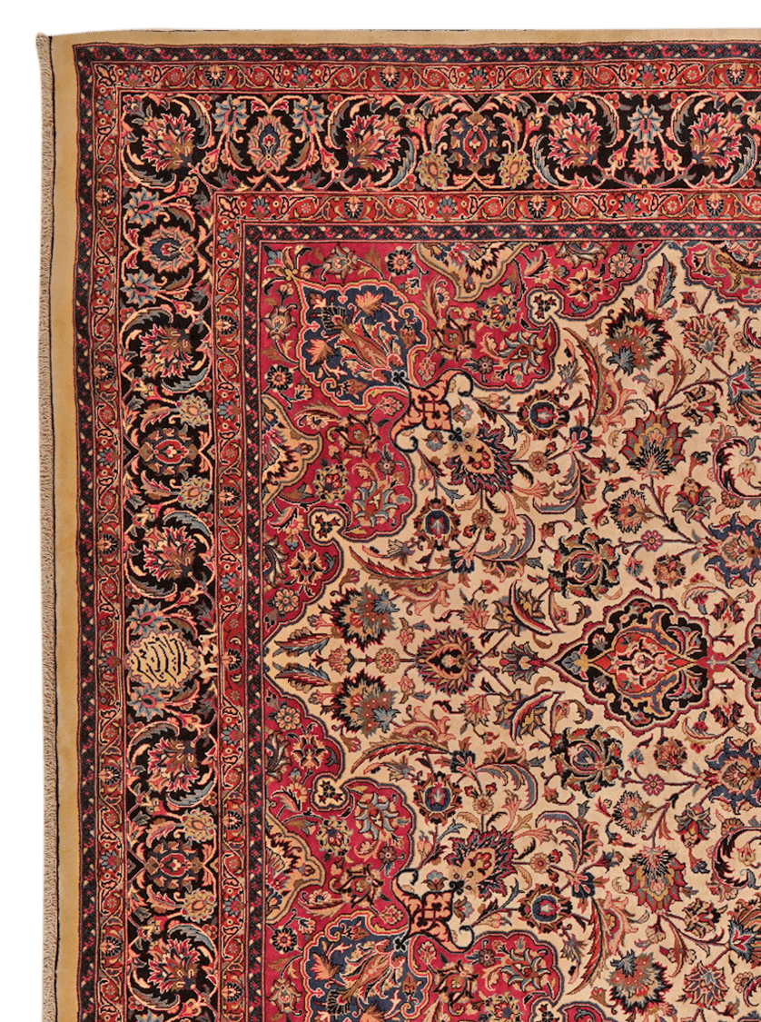 Mashad — Hand-knotted, 248x395 cm, Beige, 100% Virgin Wool | View 3