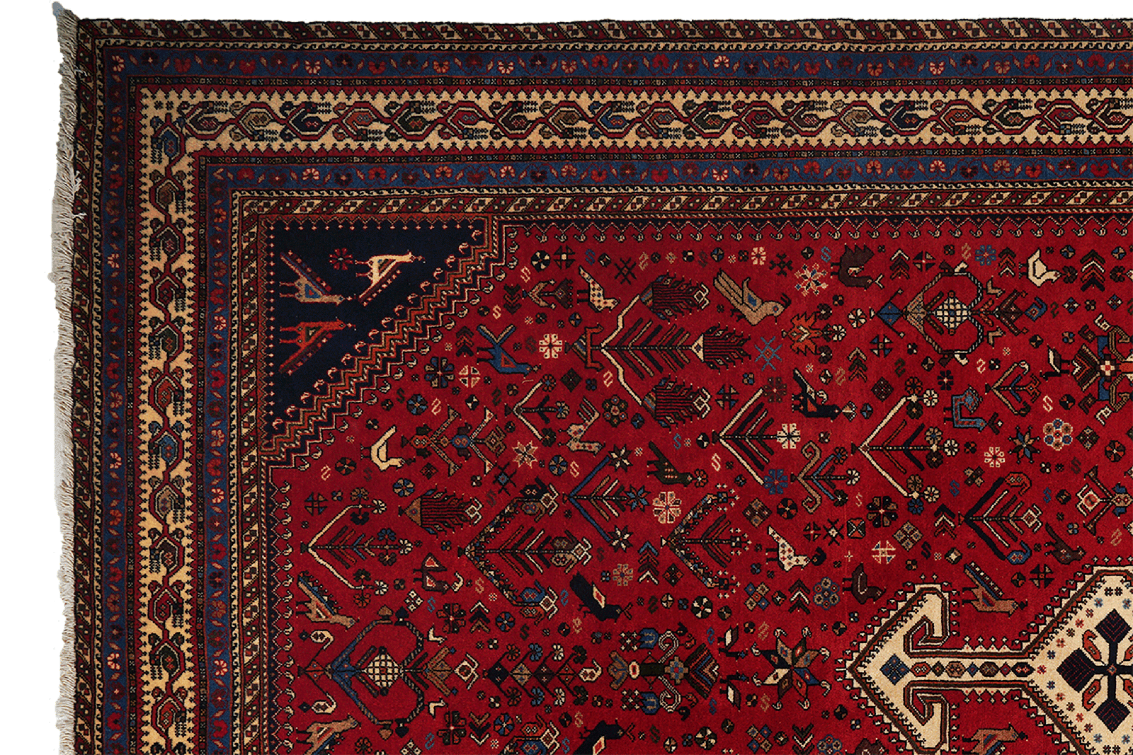 Nasrabad — Hand-knotted, 196x302 cm, Red, 100% Virgin Wool | View 3