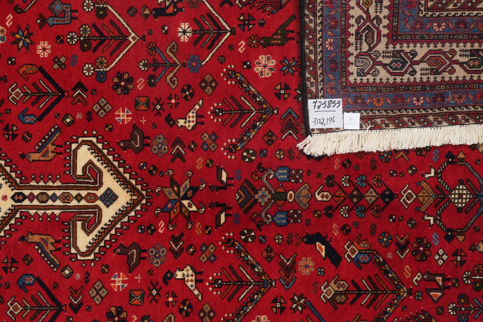 Nasrabad — Hand-knotted, 196x302 cm, Red, 100% Virgin Wool | View 6
