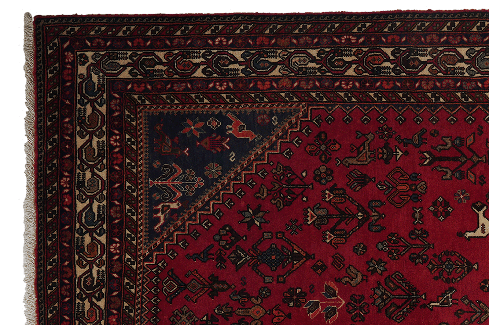 Nasrabad — Hand-knotted, 169x247 cm, Red, 100% Virgin Wool | View 3