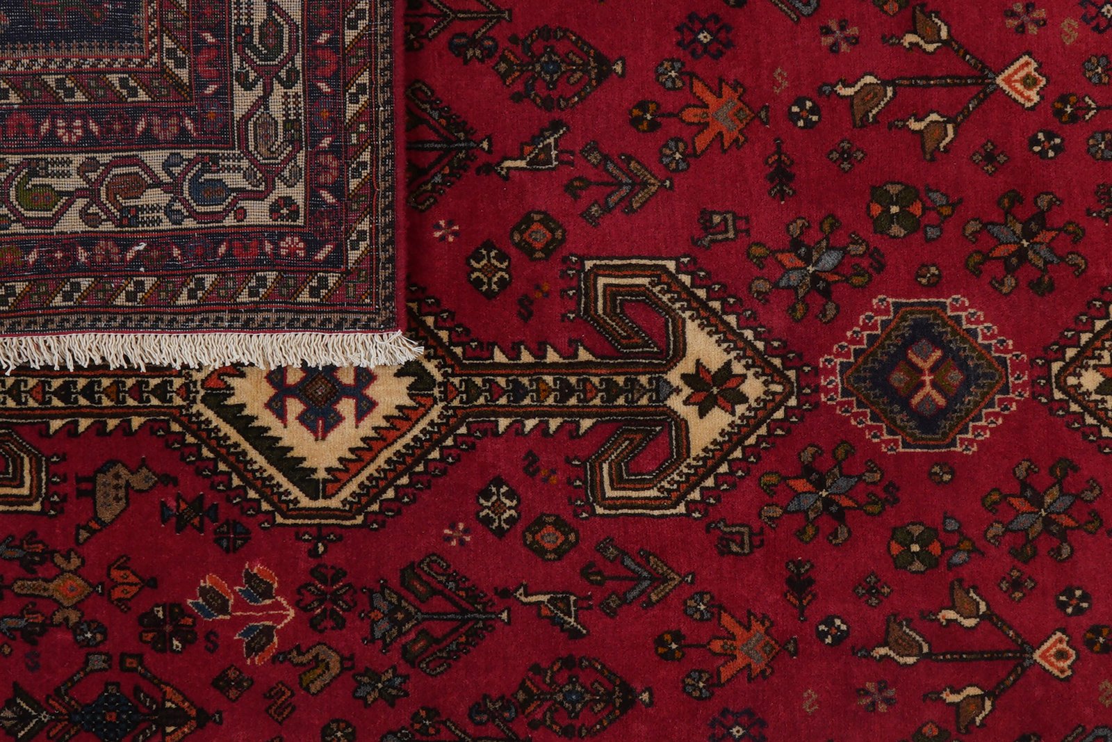 Nasrabad — Hand-knotted, 169x247 cm, Red, 100% Virgin Wool | View 8