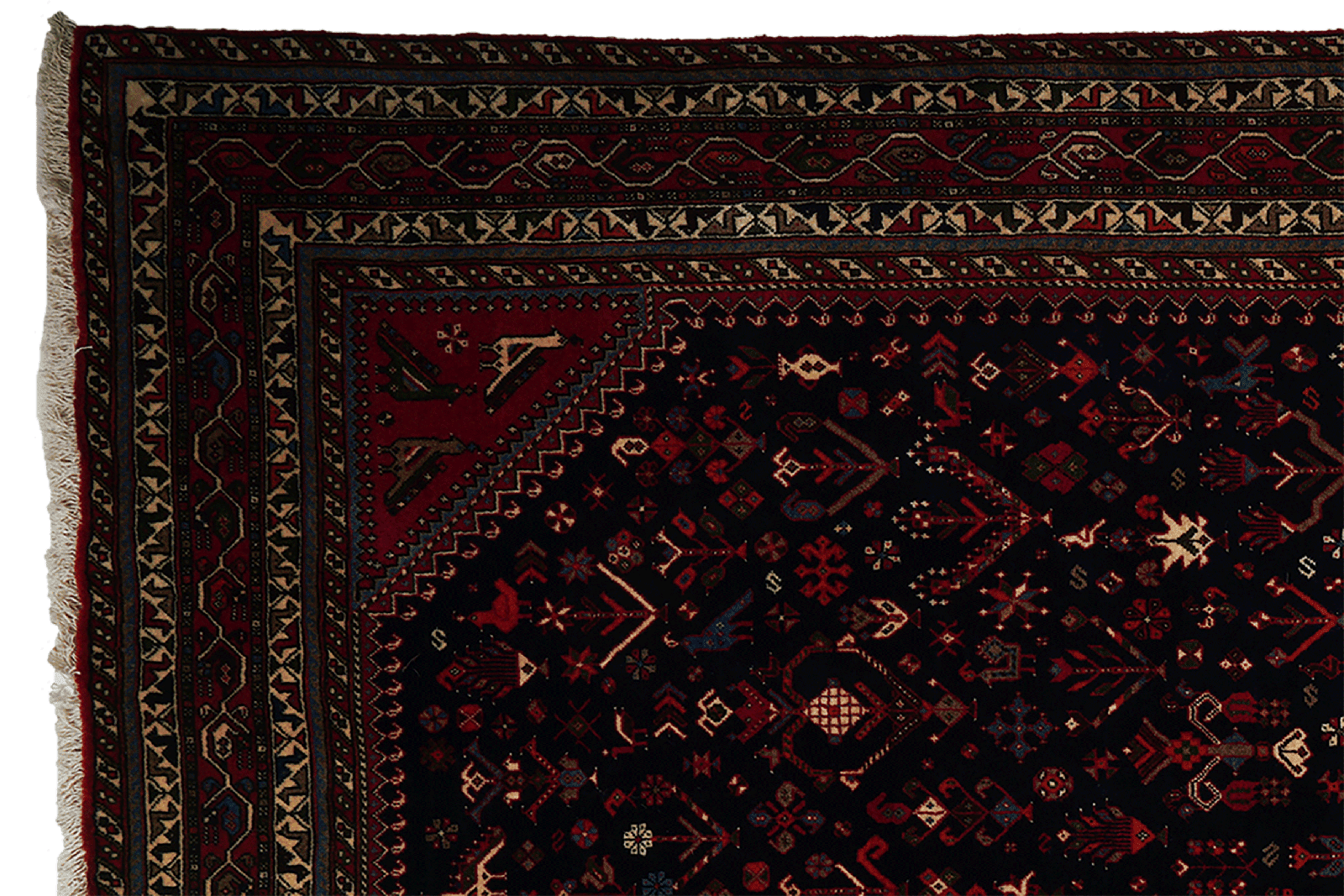 Nasrabad — Hand-knotted, 199x305 cm, Blue, 100% Virgin Wool | View 3