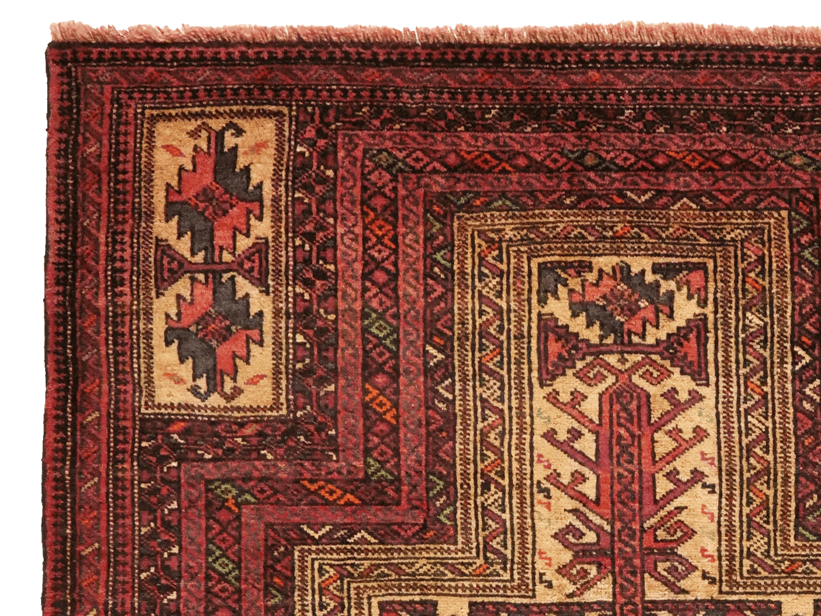 Belutch — Hand-knotted, 104x159 cm, Multicolor, 100% Virgin Wool | View 3