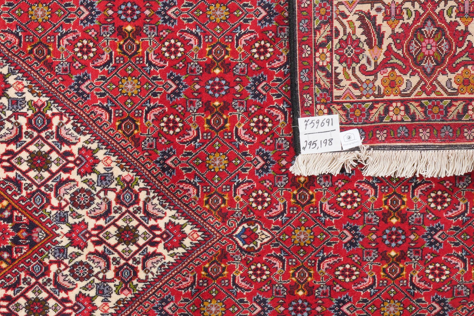 Bidjar Zandjan — Hand-knotted, 198x295 cm, Red, 100% Virgin Wool | View 6