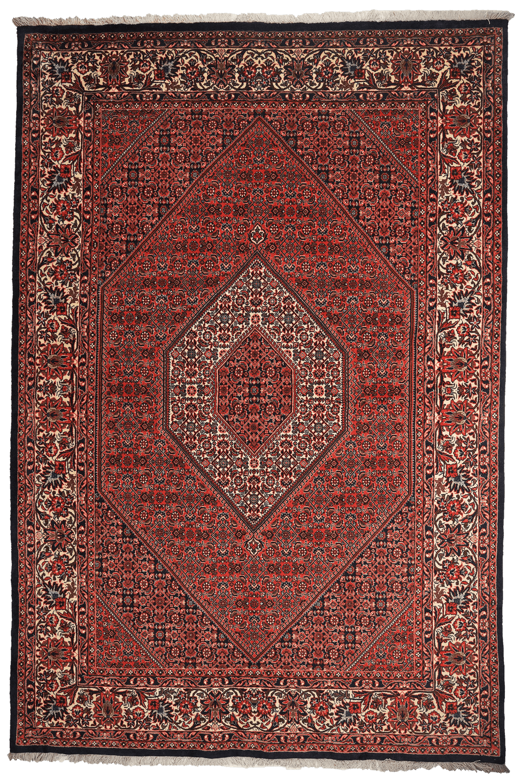 Bidjar Zandjan — Hand-knotted, 202x301 cm, Red, 100% Virgin Wool | Main view