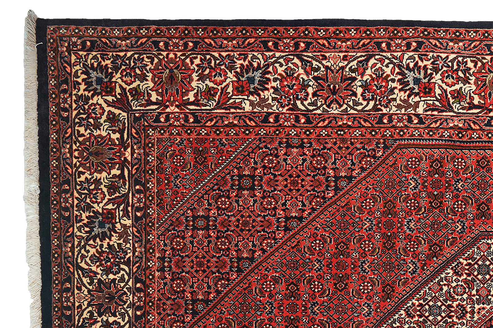 Bidjar Zandjan — Hand-knotted, 202x301 cm, Red, 100% Virgin Wool | View 3