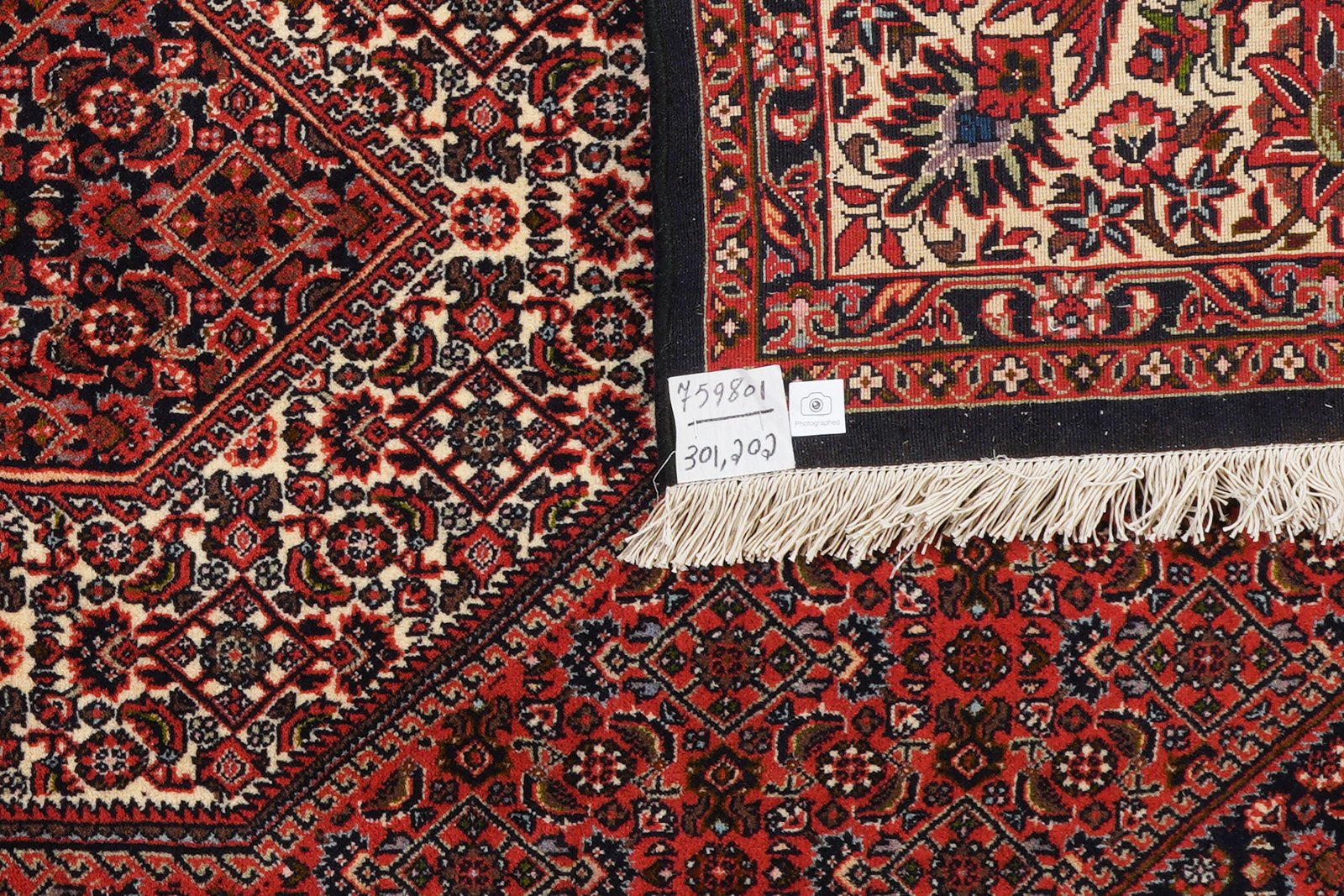 Bidjar Zandjan — Hand-knotted, 202x301 cm, Red, 100% Virgin Wool | View 6
