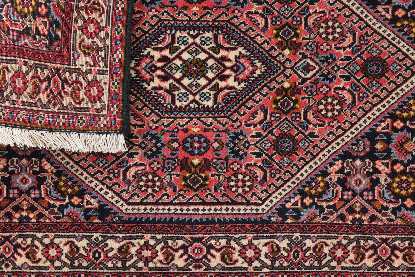Bidjar Zandjan — Hand-knotted, 68x104 cm, Red, 100% Virgin Wool | View 7
