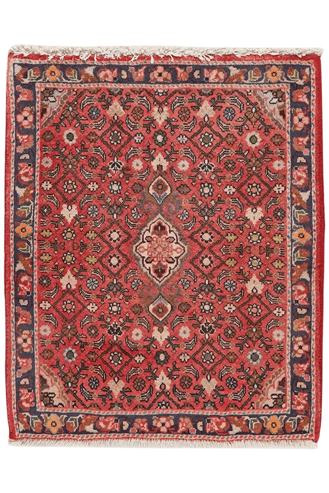 Sarough — Hand-knotted, 63x77 cm, Red, 100% Virgin Wool | Main view