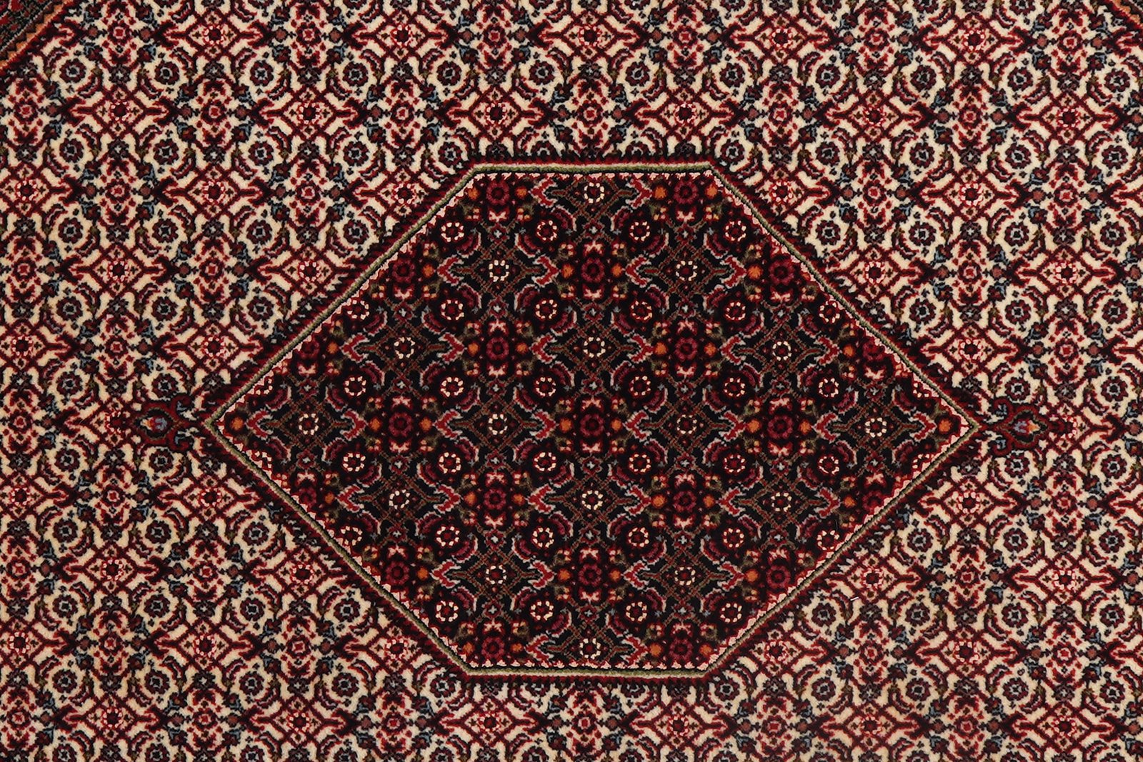 Bidjar Bookan — Hand-knotted, 202x304 cm, Red, 100% Virgin Wool | View 7