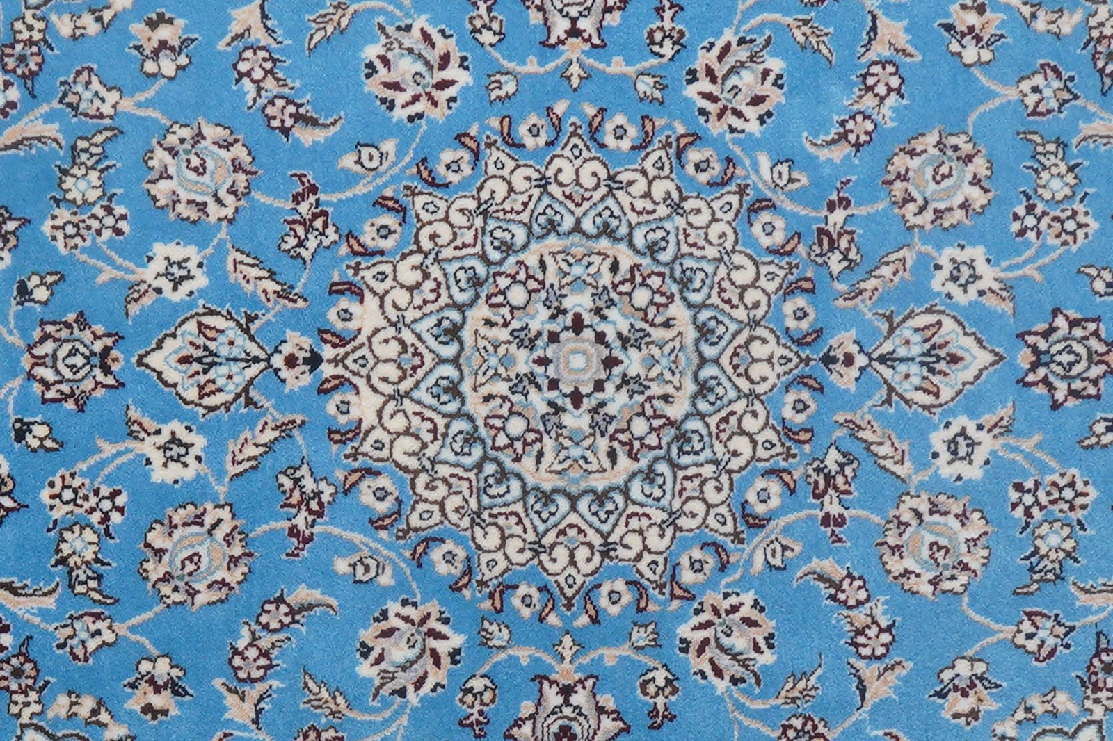 Nain 6La — Hand-knotted, 62x95 cm, Blue, 100% Virgin Wool | View 8