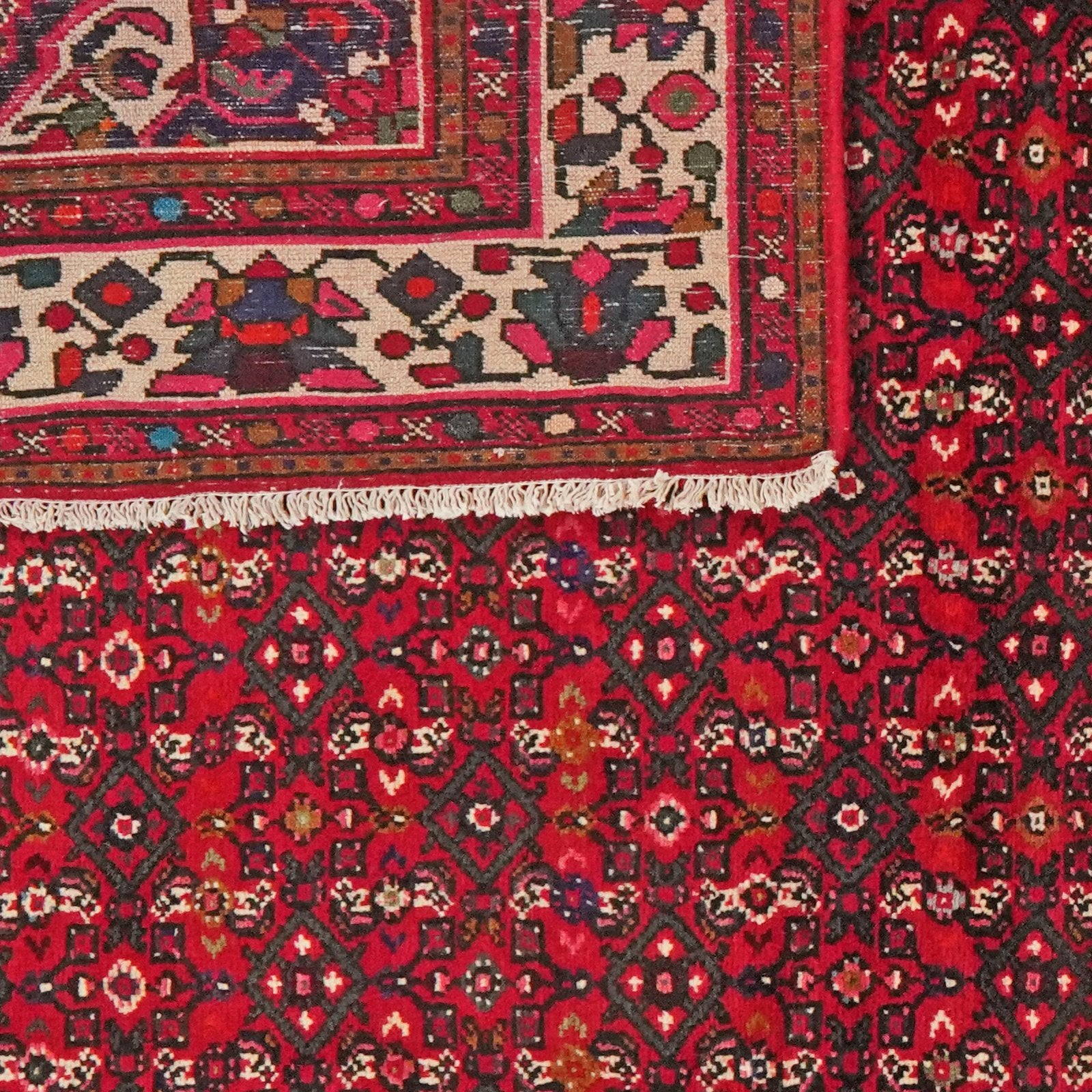Hosseinabad — Hand-knotted, 205x312 cm, Red, 100% Virgin Wool | View 6