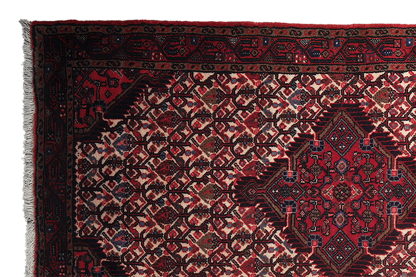 Assadabad — Hand-knotted, 83x301 cm, Beige, 100% Virgin Wool | View 3