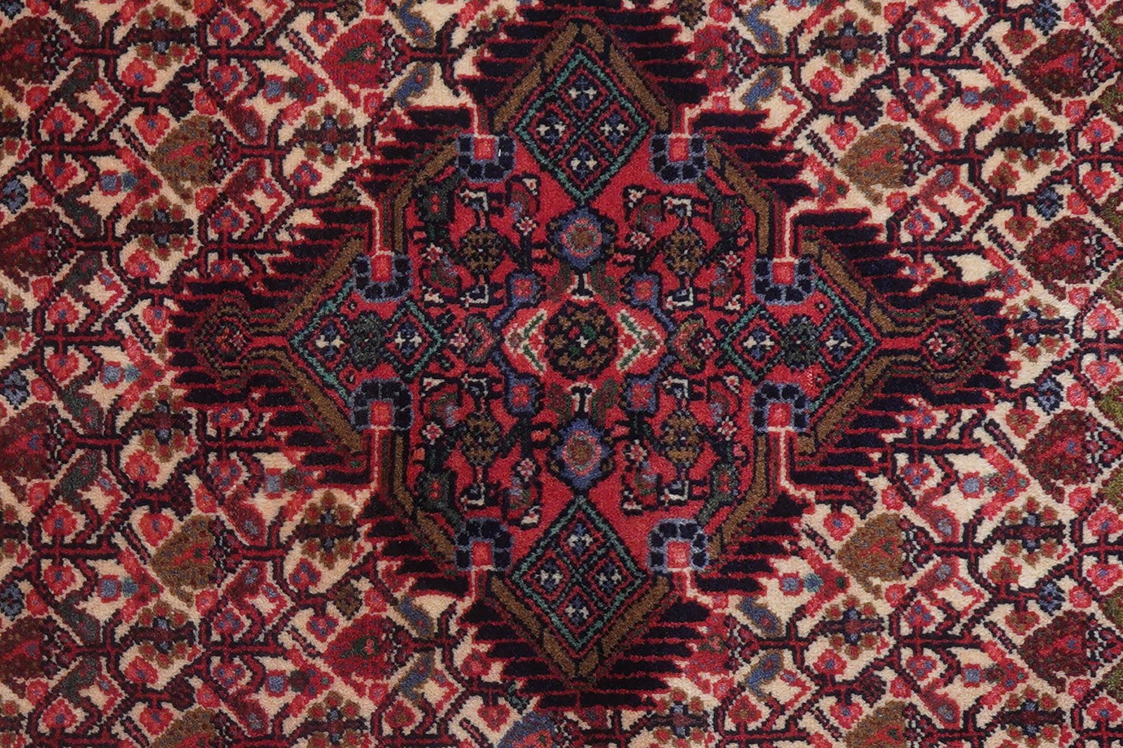 Assadabad — Hand-knotted, 83x301 cm, Beige, 100% Virgin Wool | View 7