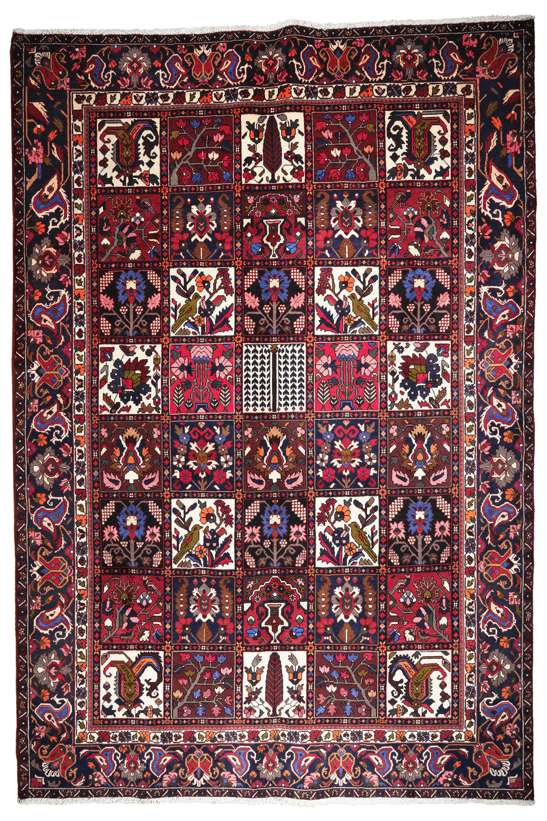 Bakhtiar — Hand-knotted, 211x312 cm, Multicolor, 100% Virgin Wool | Main view