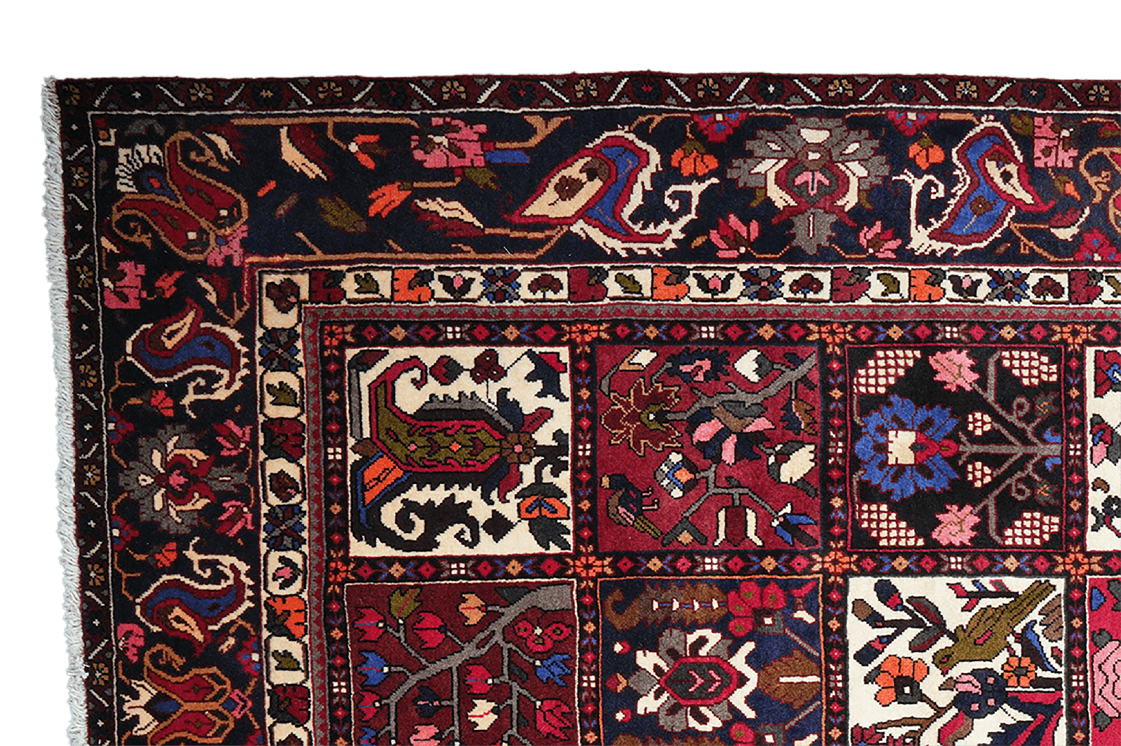 Bakhtiar — Hand-knotted, 211x312 cm, Multicolor, 100% Virgin Wool | View 3