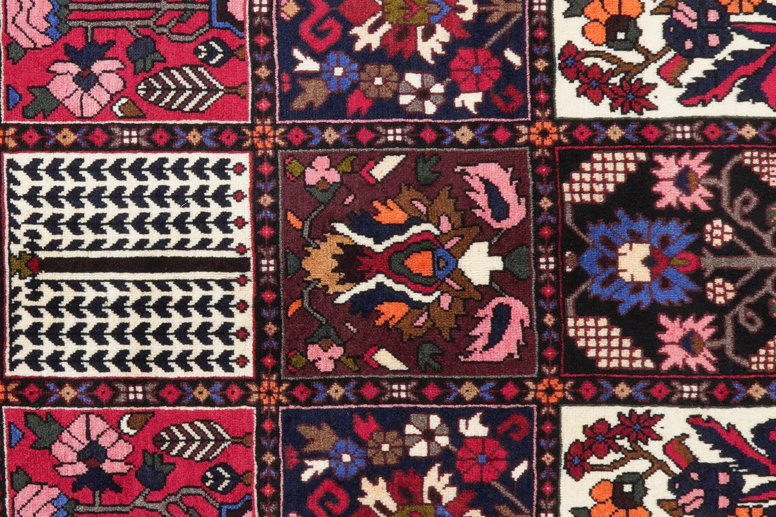 Bakhtiar — Hand-knotted, 211x312 cm, Multicolor, 100% Virgin Wool | View 7
