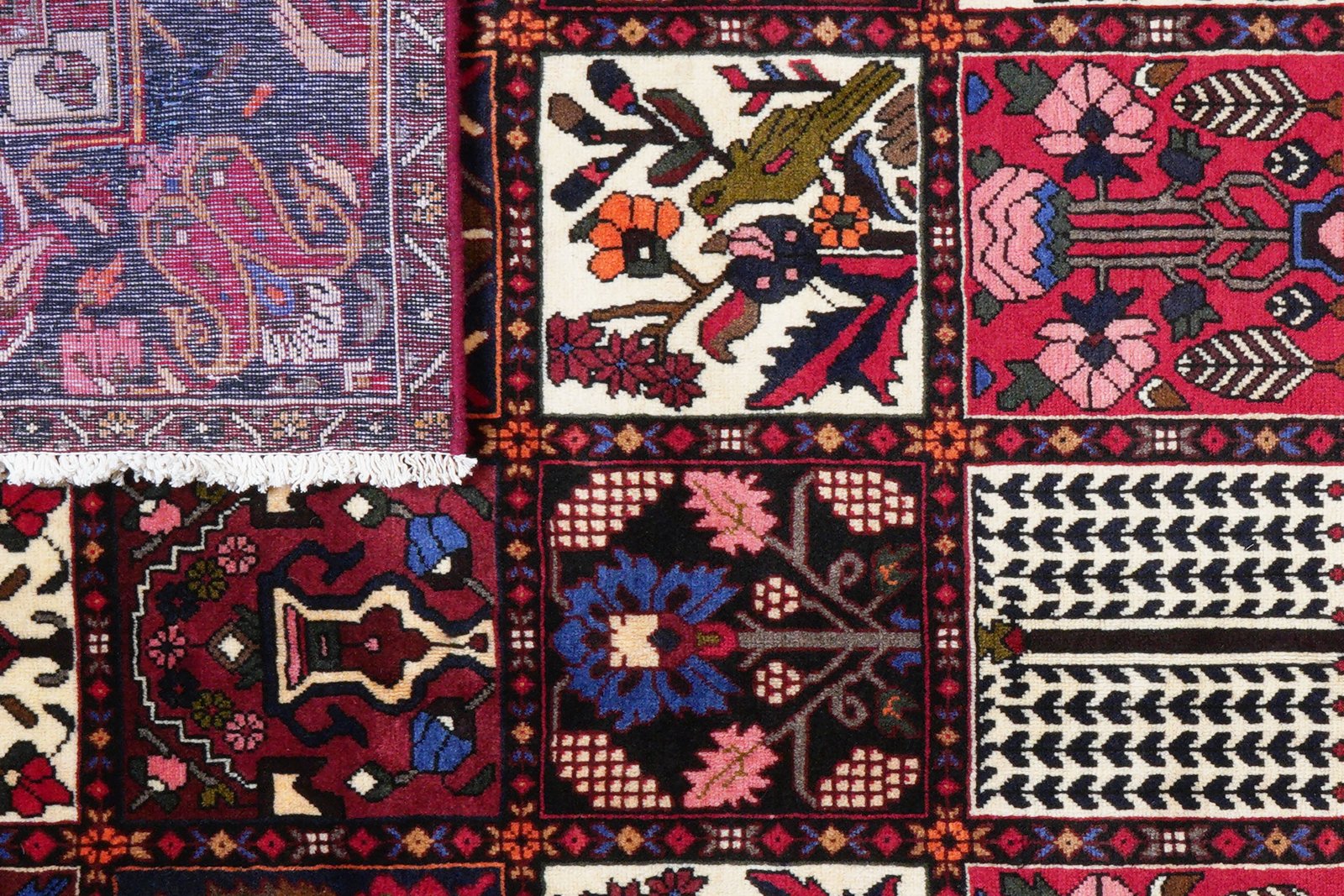 Bakhtiar — Hand-knotted, 211x312 cm, Multicolor, 100% Virgin Wool | View 8