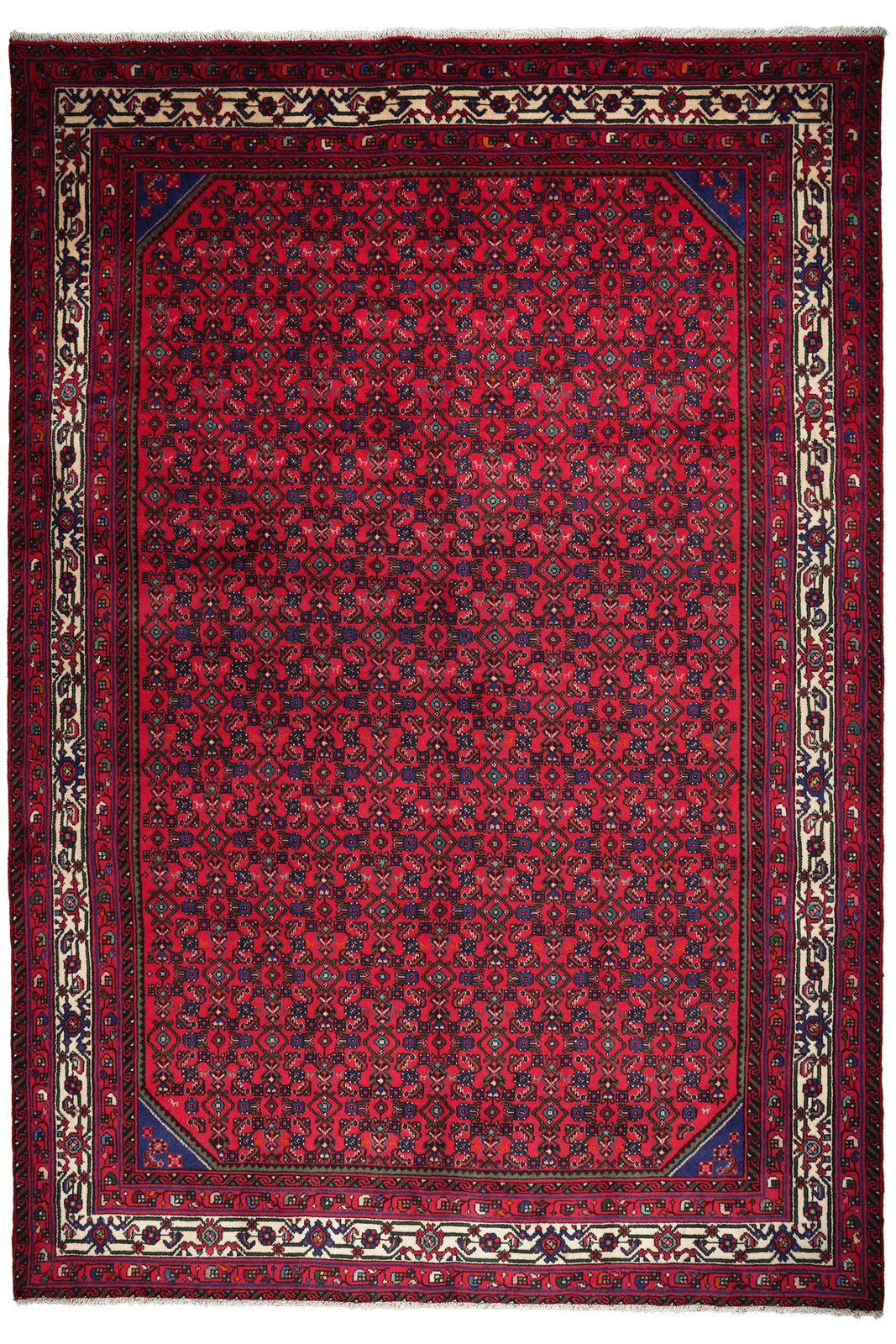 Indjelass — Hand-knotted, 207x301 cm, Red, 100% Virgin Wool | Main view