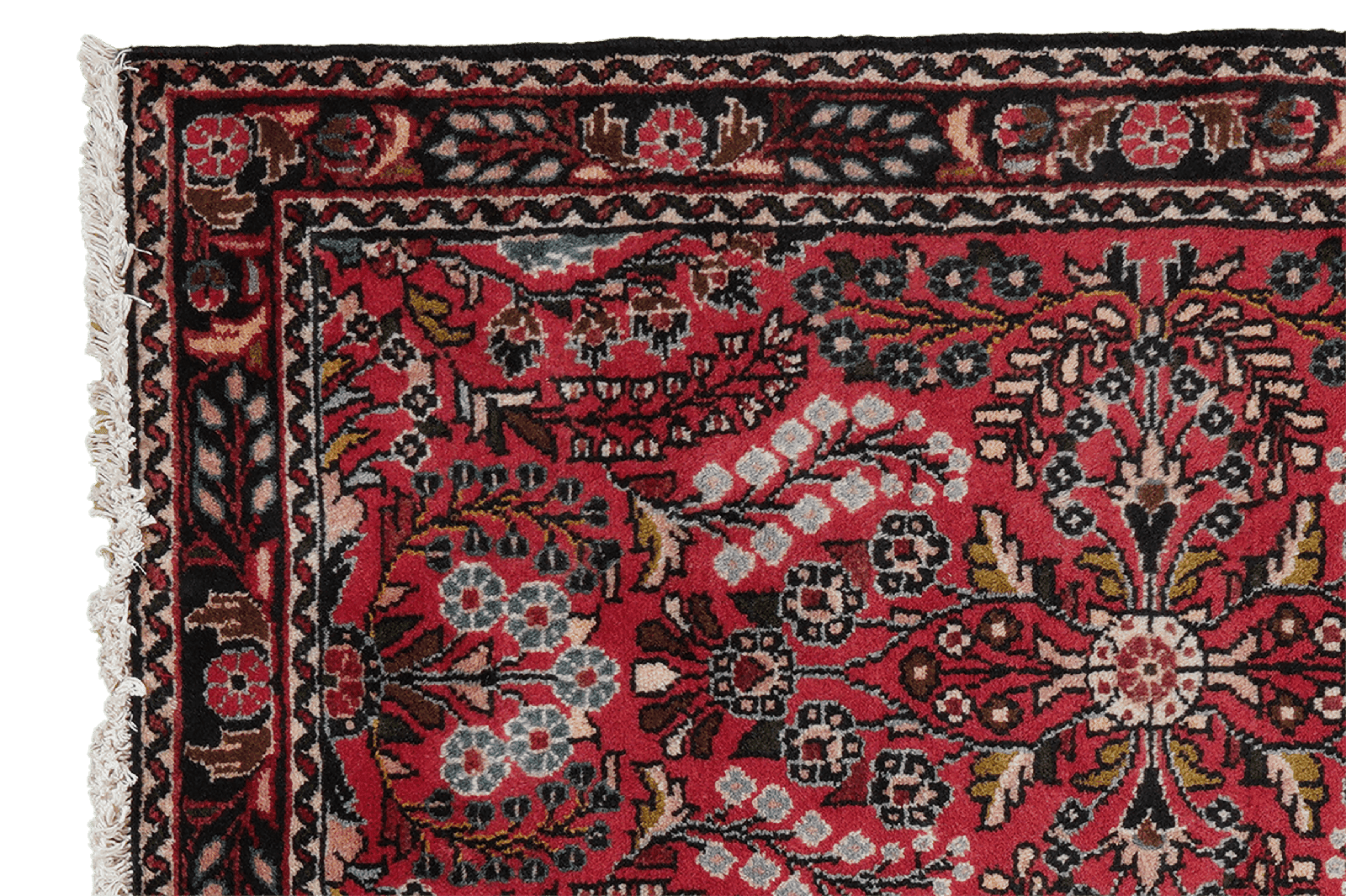 Dardjazin — Hand-knotted, 79x130 cm, Red, 100% Virgin Wool | View 3