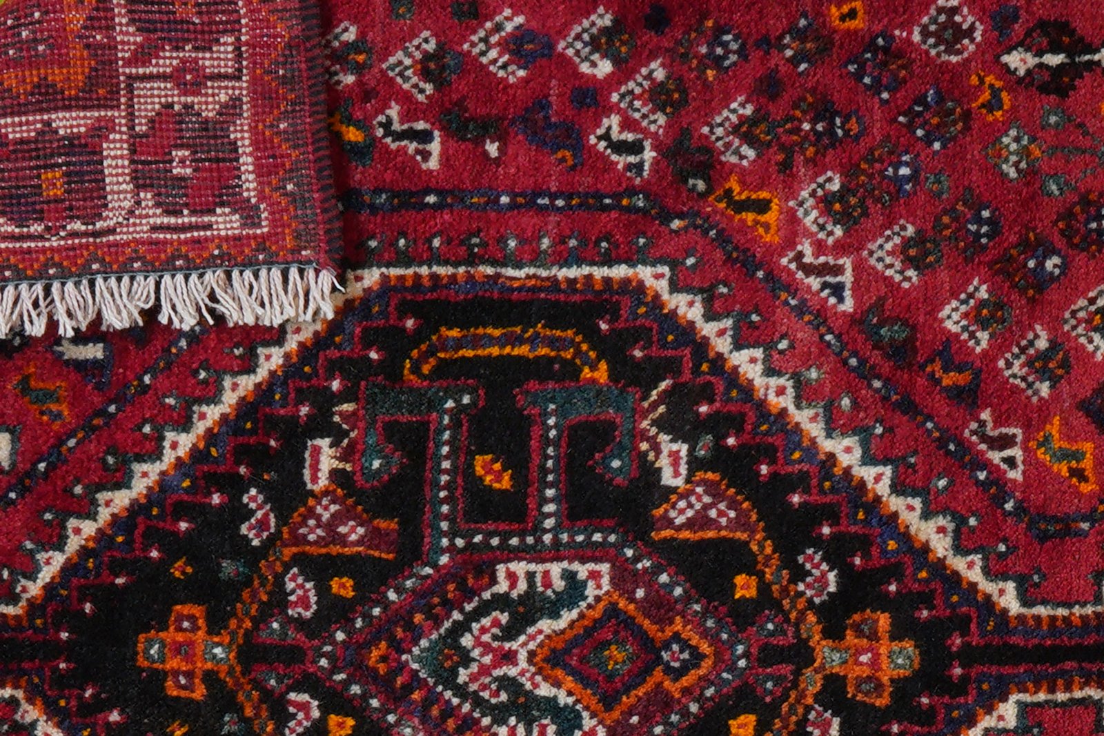 Shiraz — Hand-knotted, 105x153 cm, Red, 100% Virgin Wool | View 8